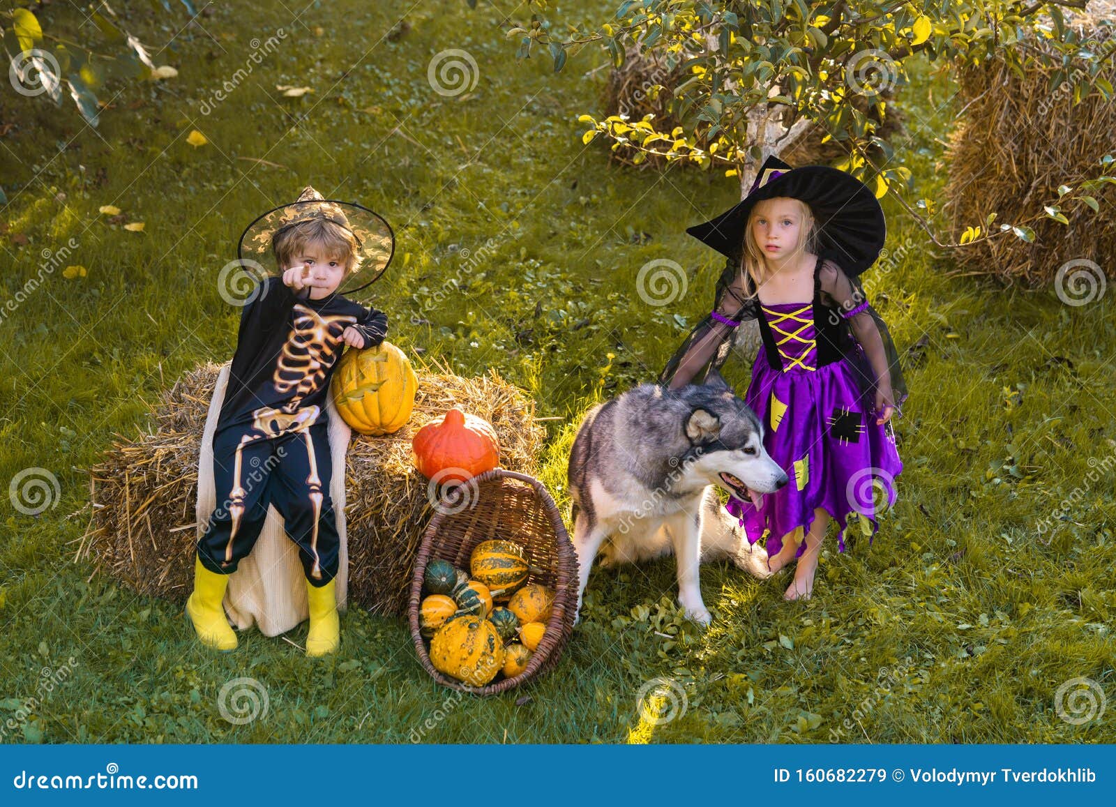 Crianças Na América Celebram O Dia Das Bruxas Engraçado Grupo De Amigos  Crianças Numa Fantasia De Halloween Na Festa De Halloween Foto de Stock -  Imagem de bonito, livro: 161170756