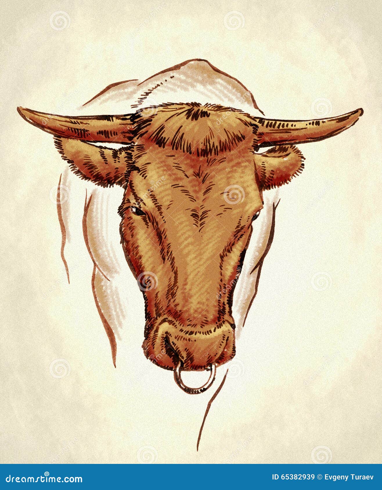 Engrave Ink Draw Cow Illustration Stock Illustration - Illustration of