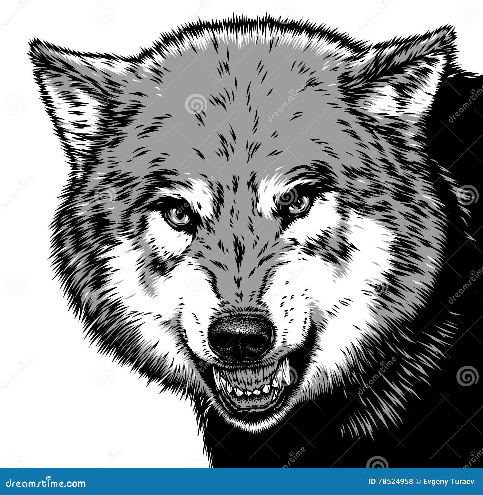 Engrave Isolated Wolf Illustration Sketch Stock Illustration
