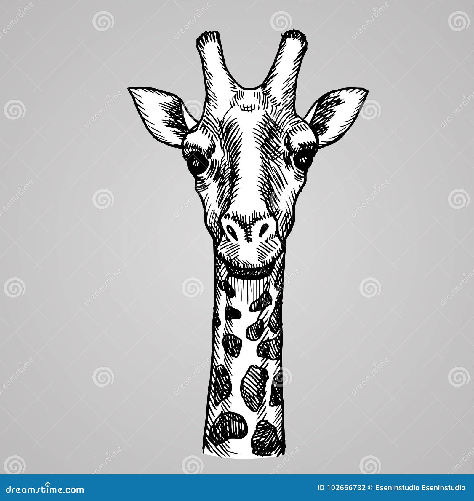 9376 Giraffe Head Drawing Images Stock Photos  Vectors  Shutterstock