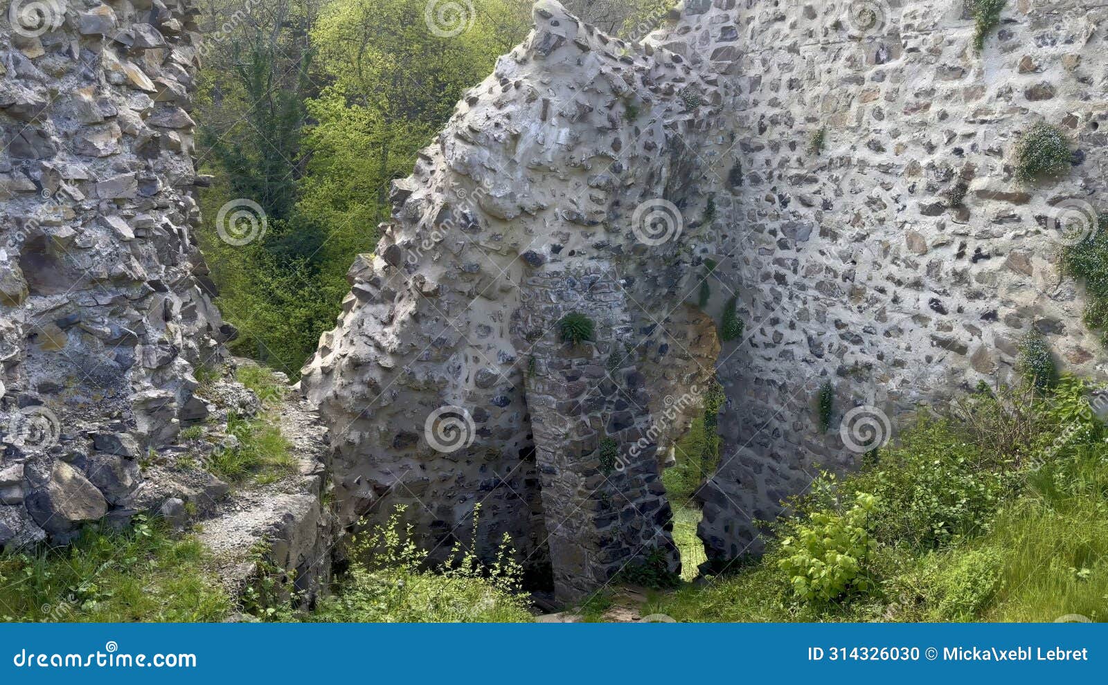enigmatic ruins of hugstein castle overlooking the florival valley, vestige of history amidst verdant nature