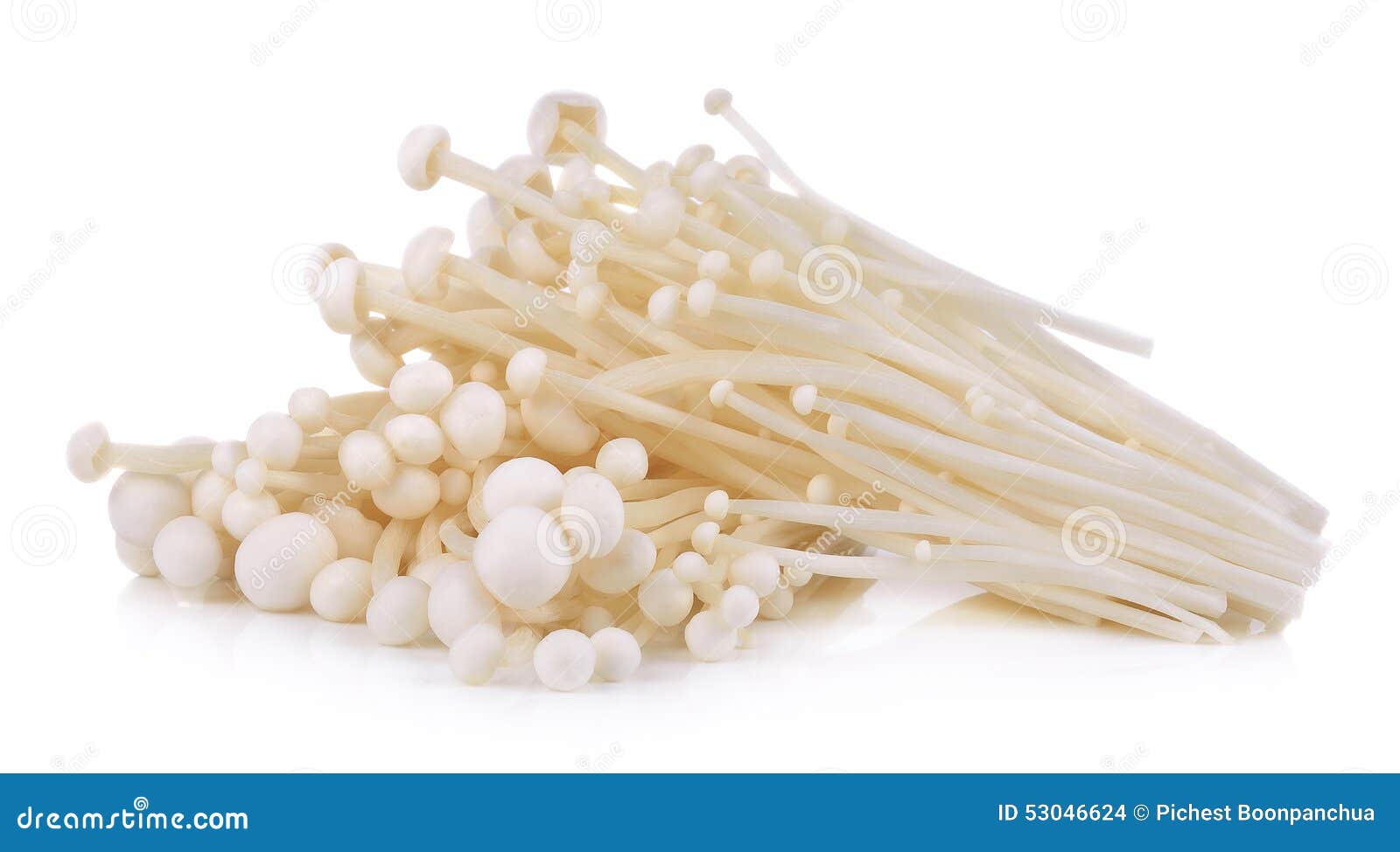 Chinese mushrooms, Enoki,Hon-shimeji and Shitake isolated on a