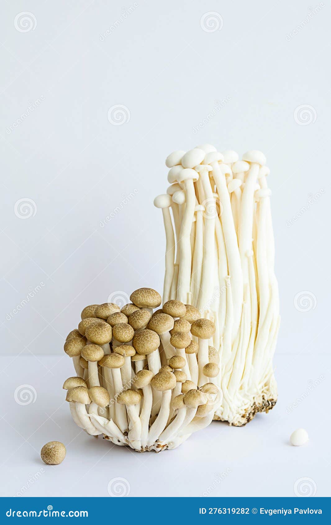 Enoki and Shimeji Edible Mushrooms on White Stock Photo Image of grow