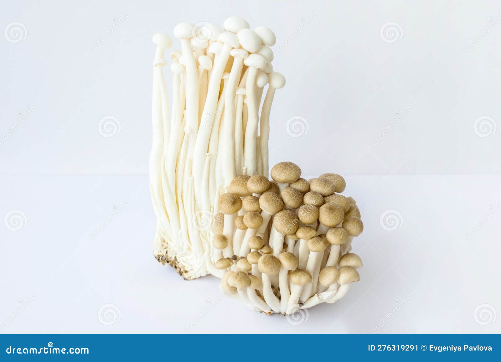 Enoki and Shimeji Edible Mushrooms on White Stock Image Image of