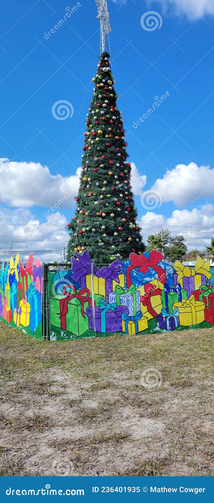 Enormous Christmas Tree Decorated in North Florida Stock Image Image