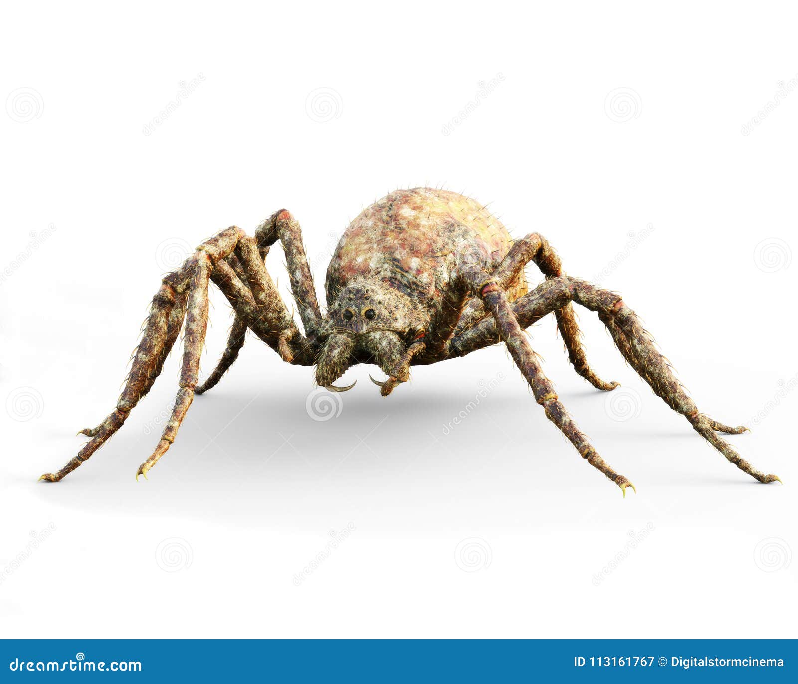enormous plague ridden fantasy spider on a white background