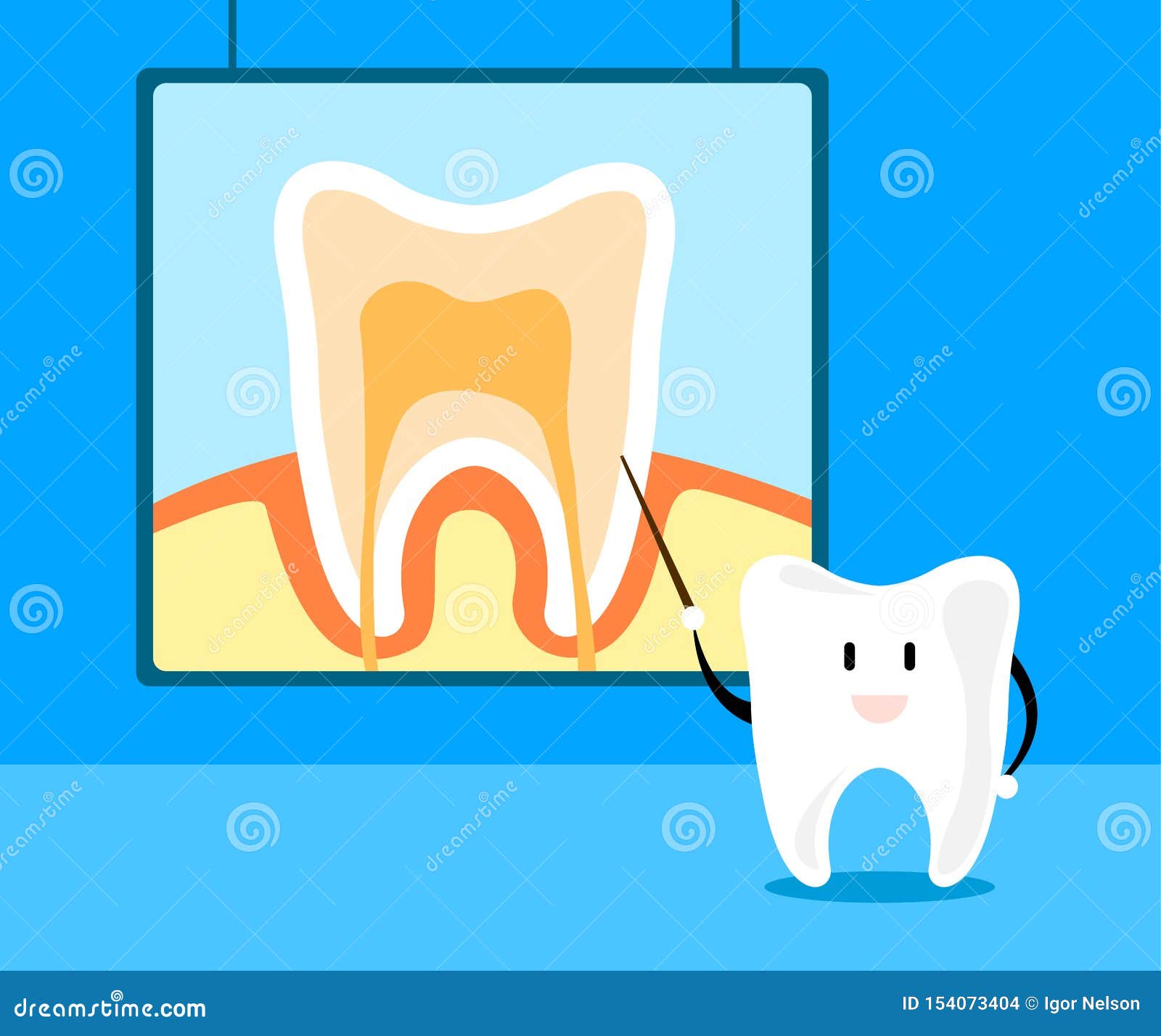 Enseñanza Dental Sobre La Anatomía Dental En Estilo De Dibujos Animados  Concepto De Diversión Diseño De Ilustración De Vector Stock de ilustración  - Ilustración de dentista, oral: 154073404