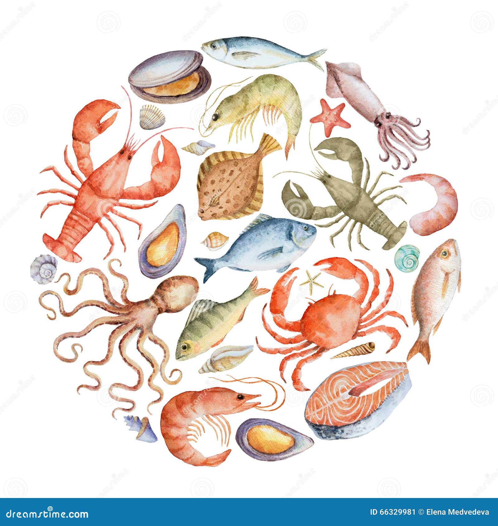 Ensemble D'aquarelle De Fruits De Mer Illustration Stock Illustration du porcelaine