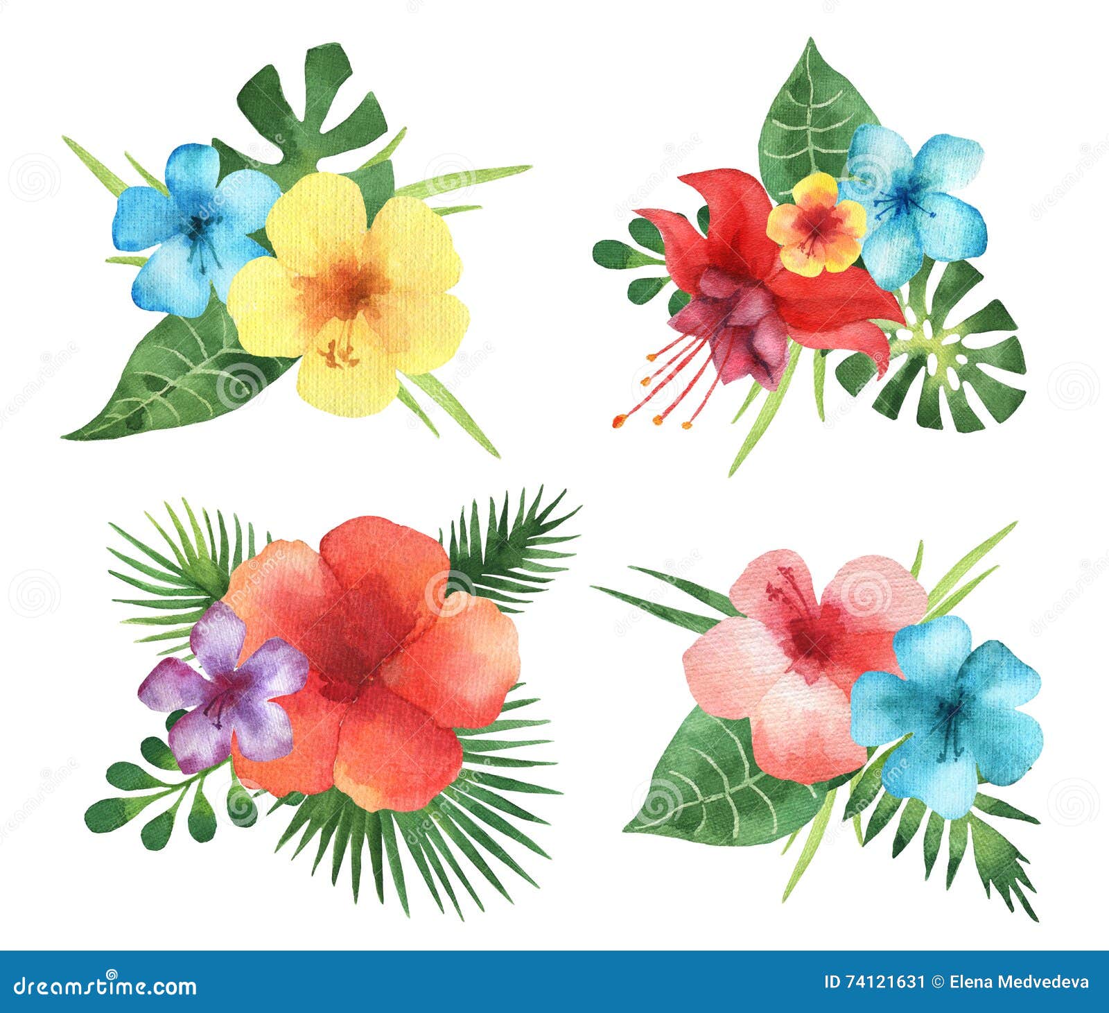 Ensemble De Bouquets D'aquarelle Des Feuilles Et Des Fleurs Exotiques  Illustration Stock - Illustration du exotique, floral: 74121631