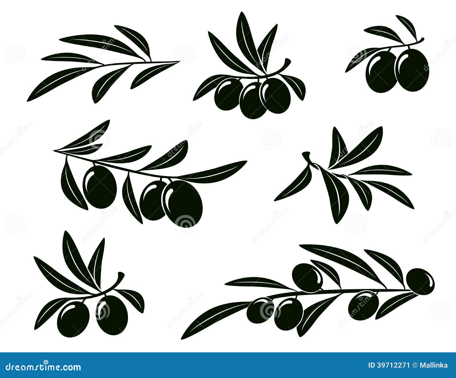 Ensemble De Branche D Olivier Illustration De Vecteur Illustration Du Fond Noir