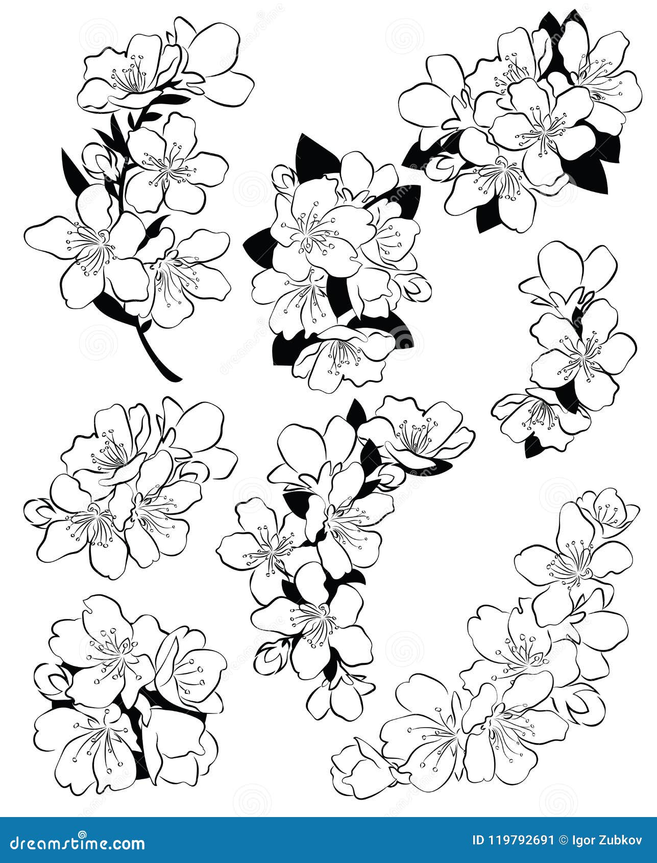 Tatouage Fleurs De Cerisier Noir Et Blanc