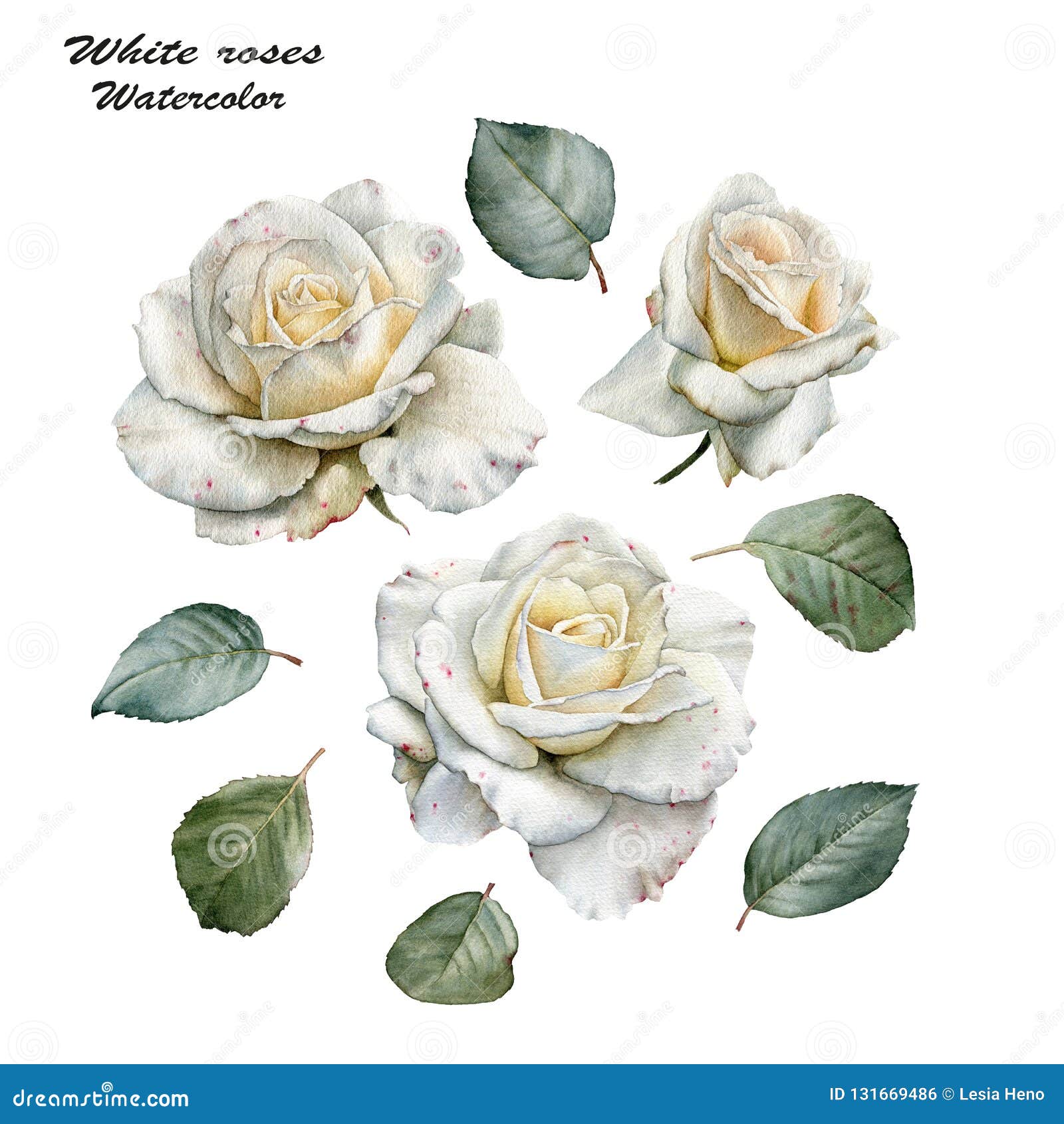 Ensemble De Fleurs De Roses Blanches Et De Feuilles D'aquarelle  Illustration Stock - Illustration du tony, trame: 131669486