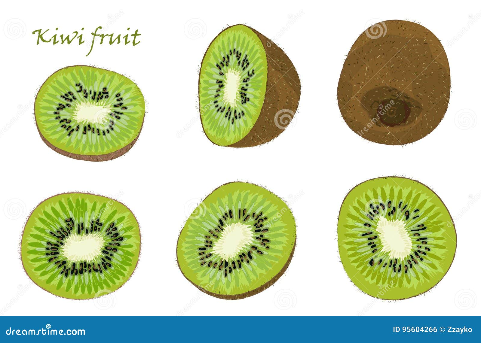 Ensemble De Fruits De Kiwis, Simples, épluché Et Coupé En Tranches Tirés  Par La Main Dessin Réaliste, D'isolement Sur Le Fond Bla Illustration Stock  - Illustration du conception, exotique: 95604266