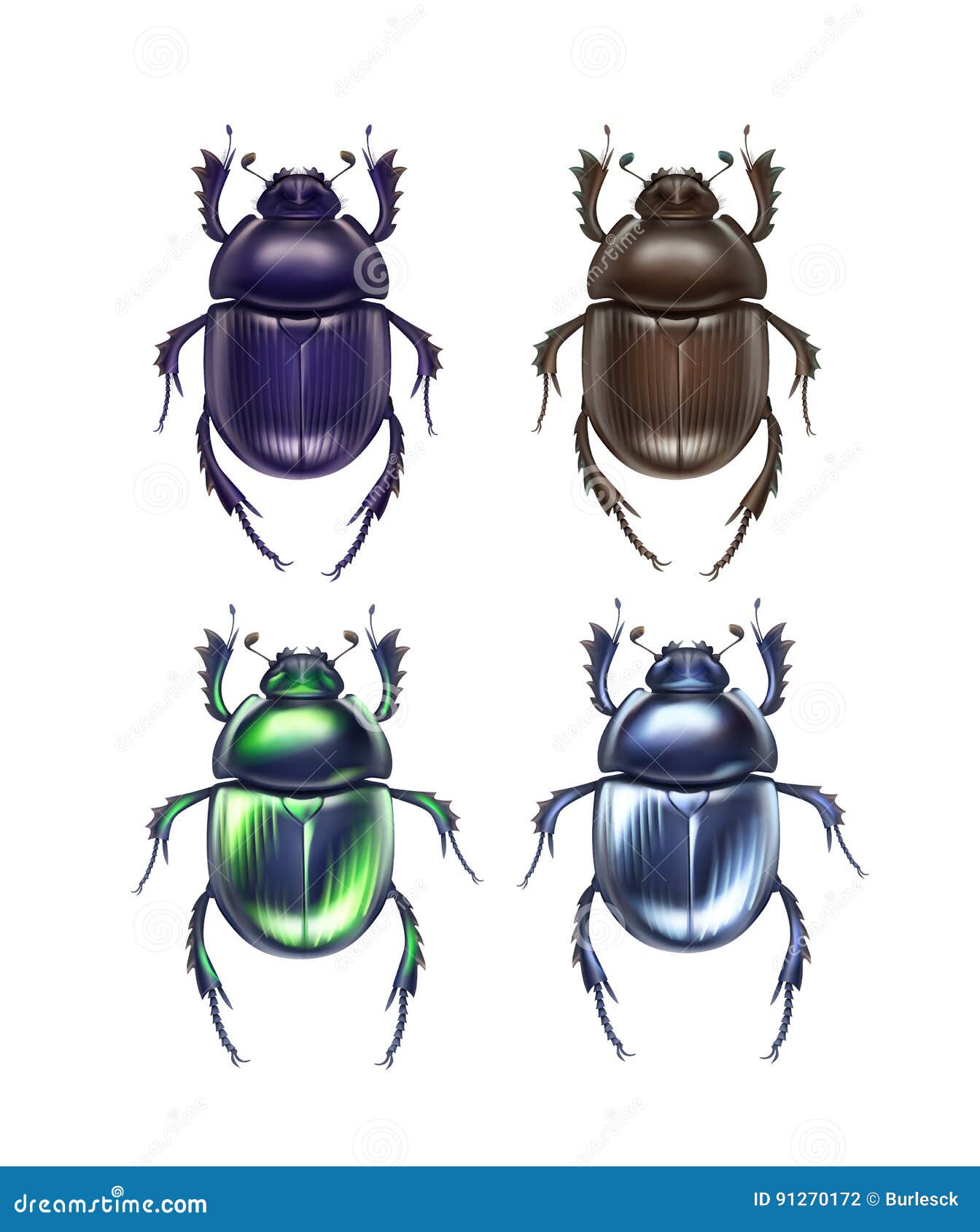Ensemble de 3 insectes scarabées, dessinés à la main colorée par les  insectes Vecteur par ©naschy 120841966