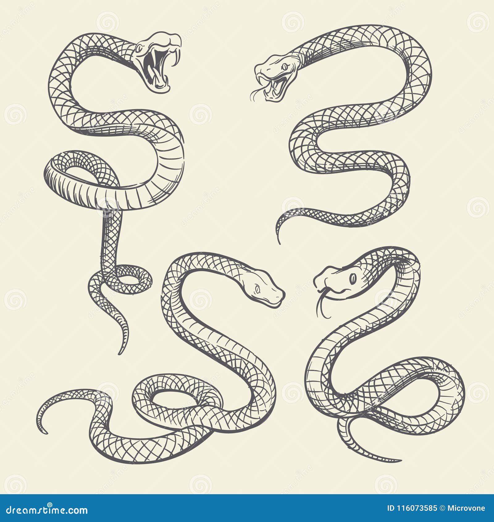 Ensemble De Serpent De Dessin De Main Conception De Vecteur De Tatouage De Serpents De Faune D Isolement Illustration De Vecteur Illustration Du Fond Contour Ensemble De Serpent De Dessin De Main Conception De Vecteur De Tatouage De Serpents De Faune D Isolement Illustration De Vecteur Illustration Du Fond Contour