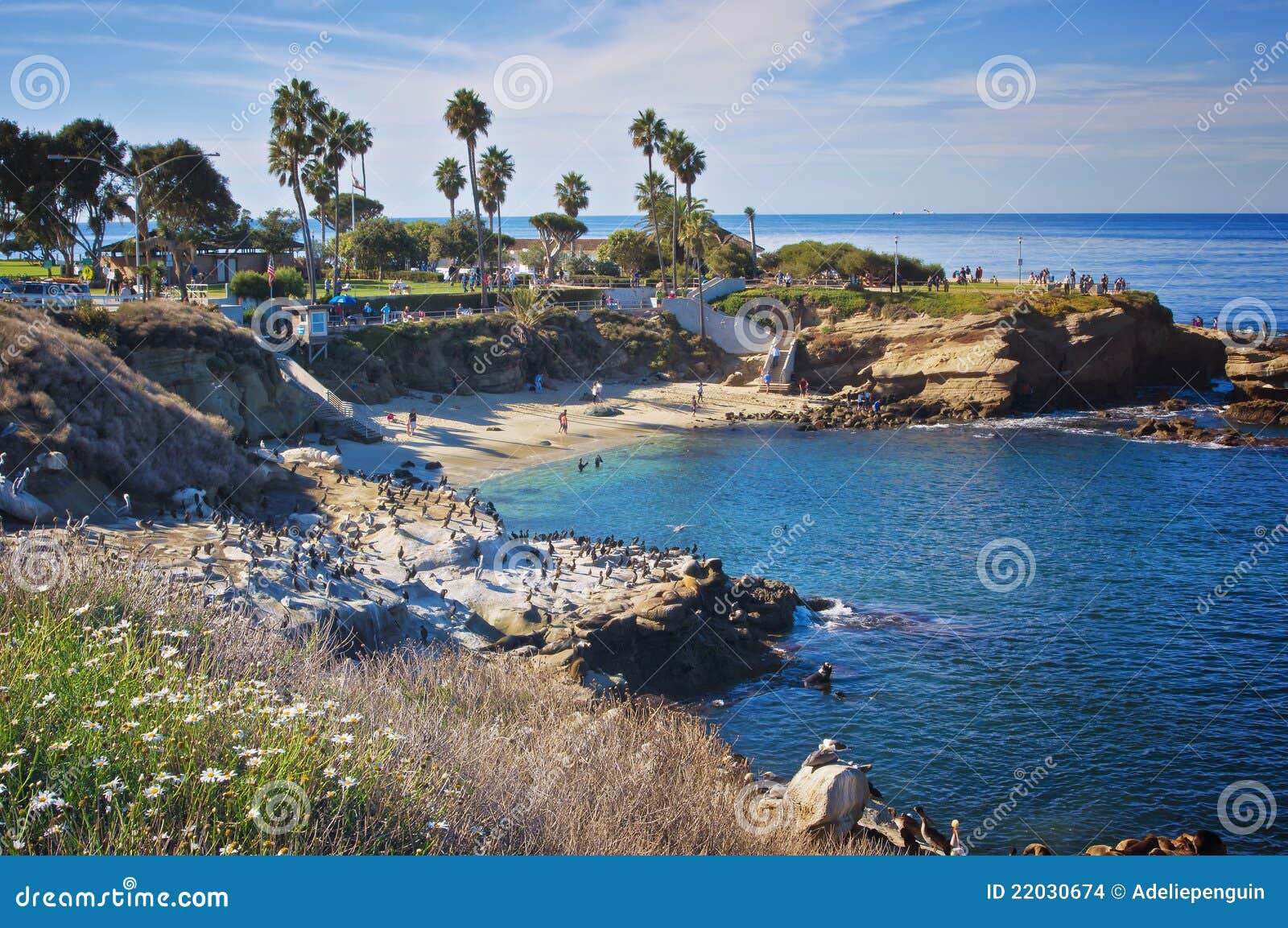 Ensenada De La Jolla, California Imagen de archivo editorial Imagen