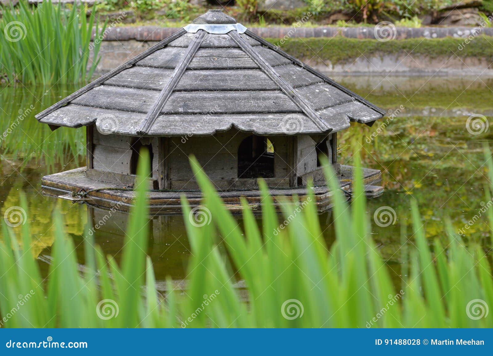Entenhaus auf Teich stockfoto. Bild von menge, schwimmen 91488028