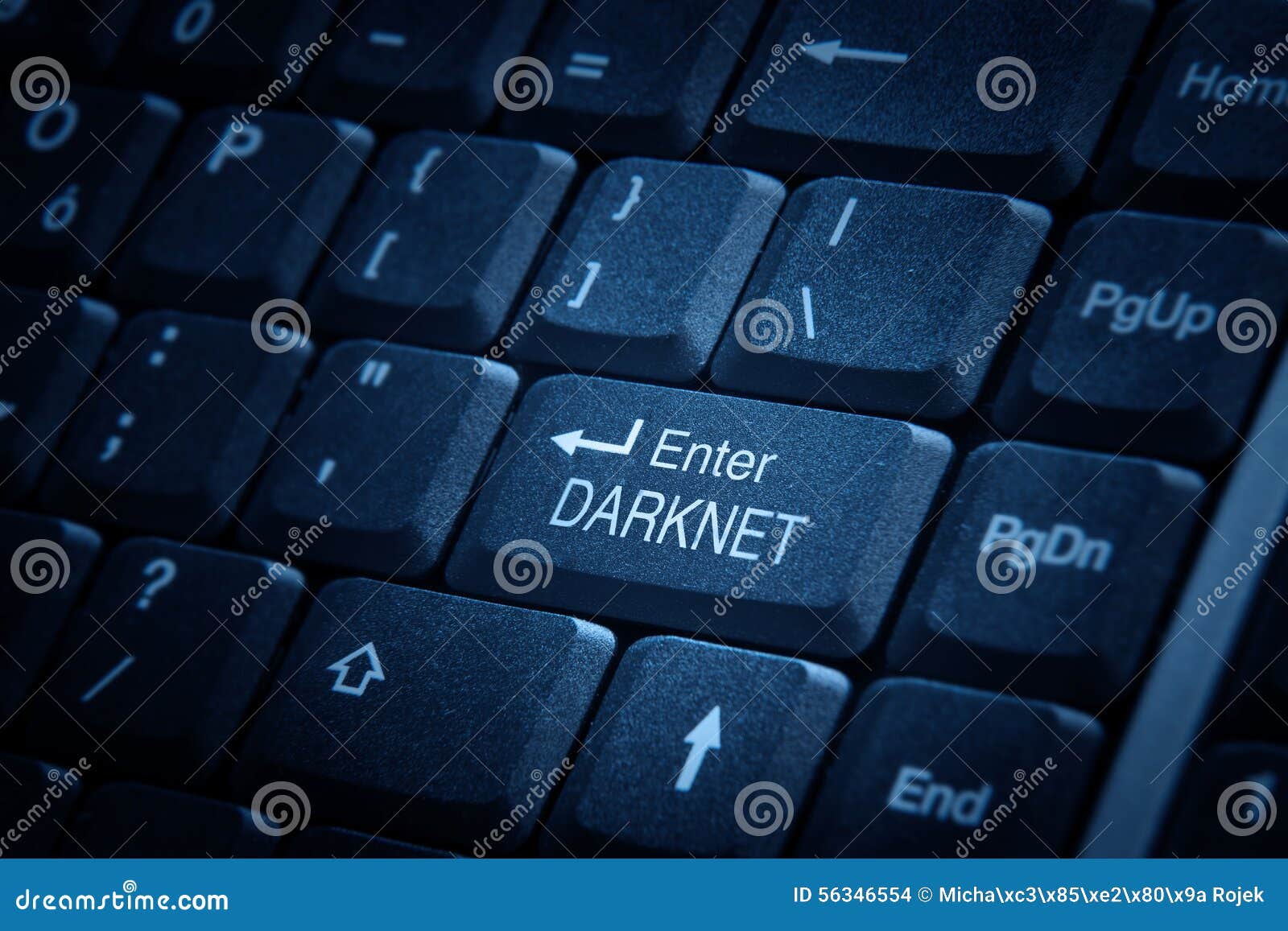enter to darknet
