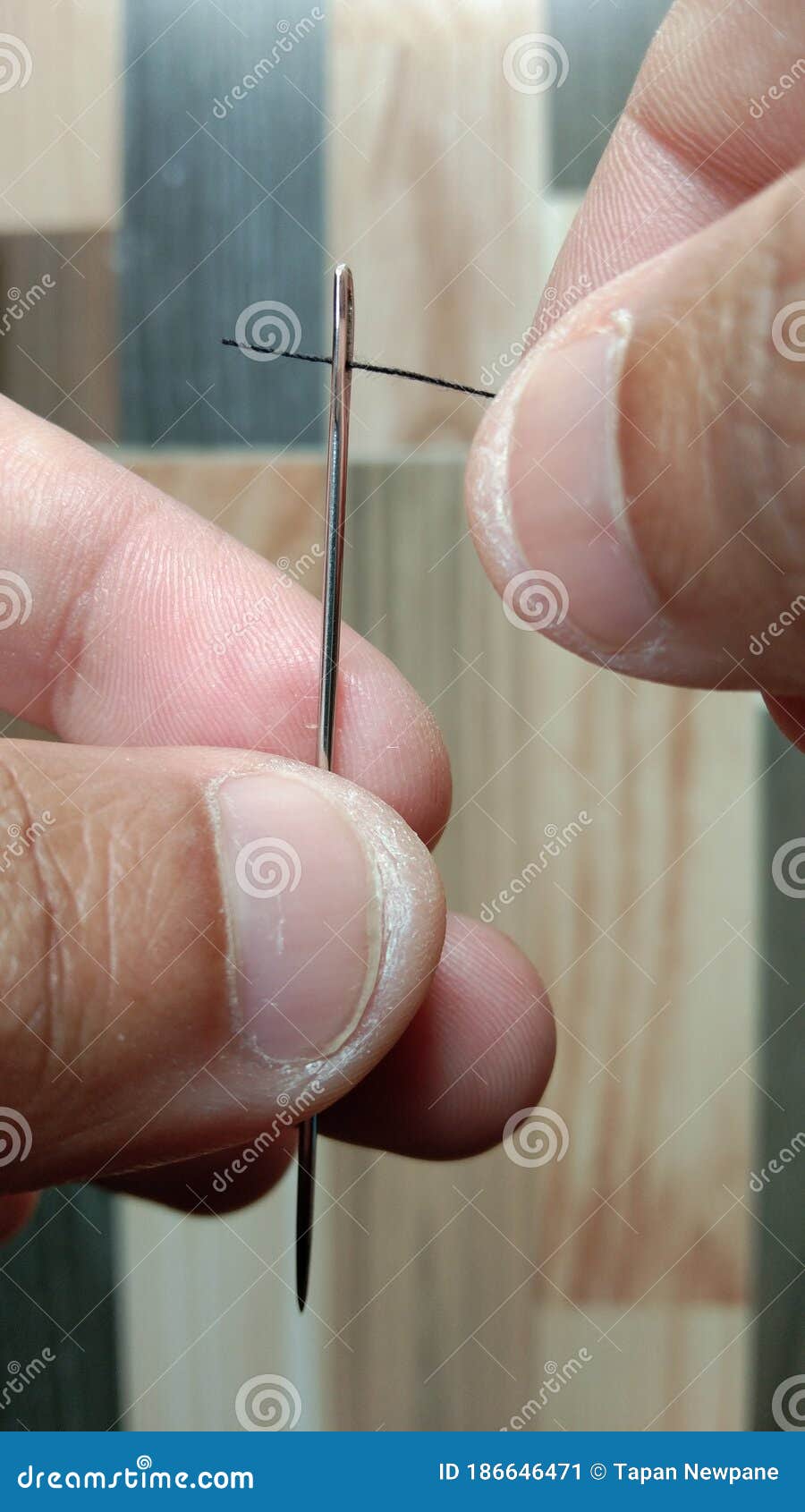 Entering Thread into a Needle Eye Macro Closeup, Ready for Sewing or