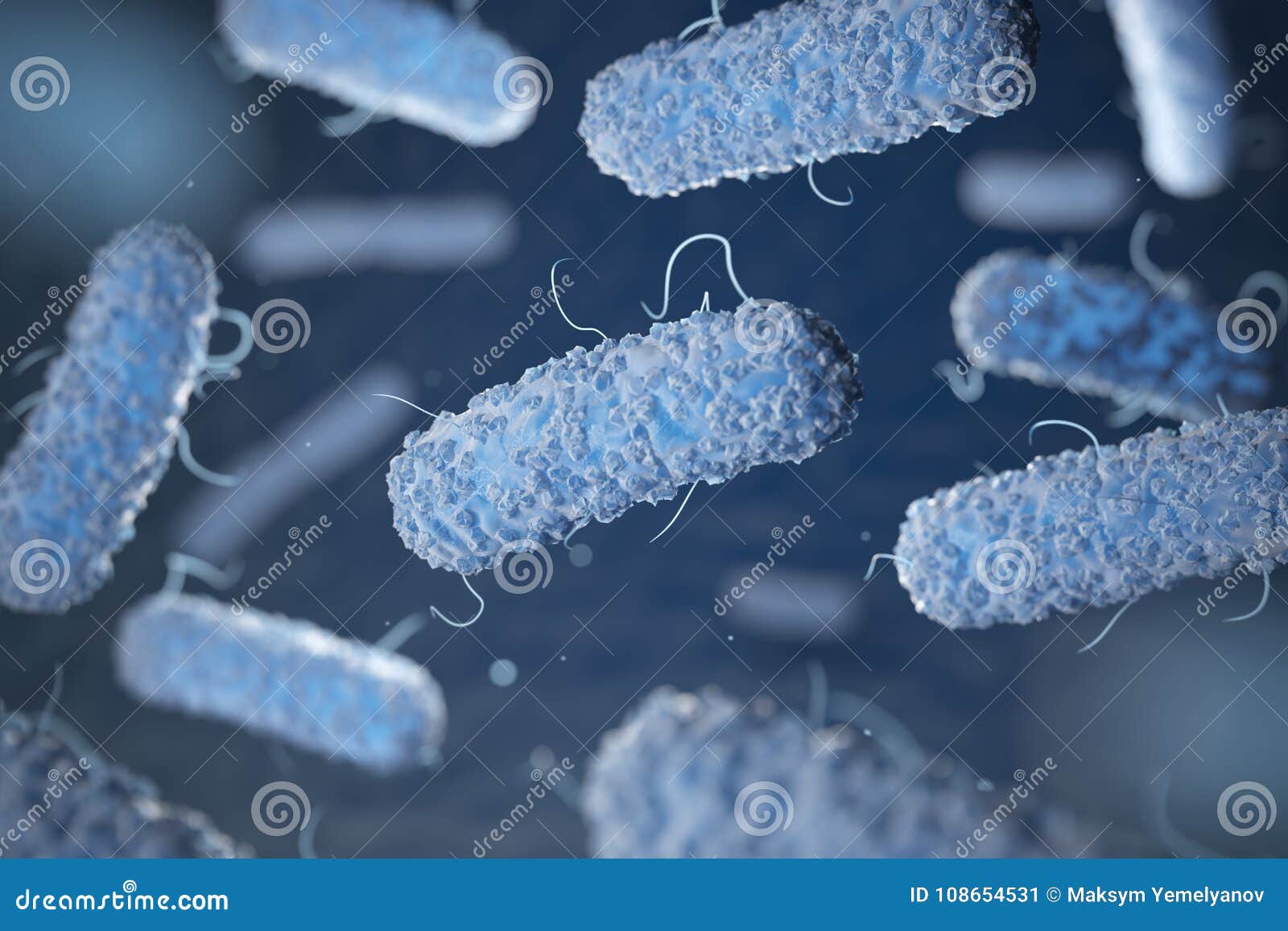 enterobacterias. gram-negative bacterias