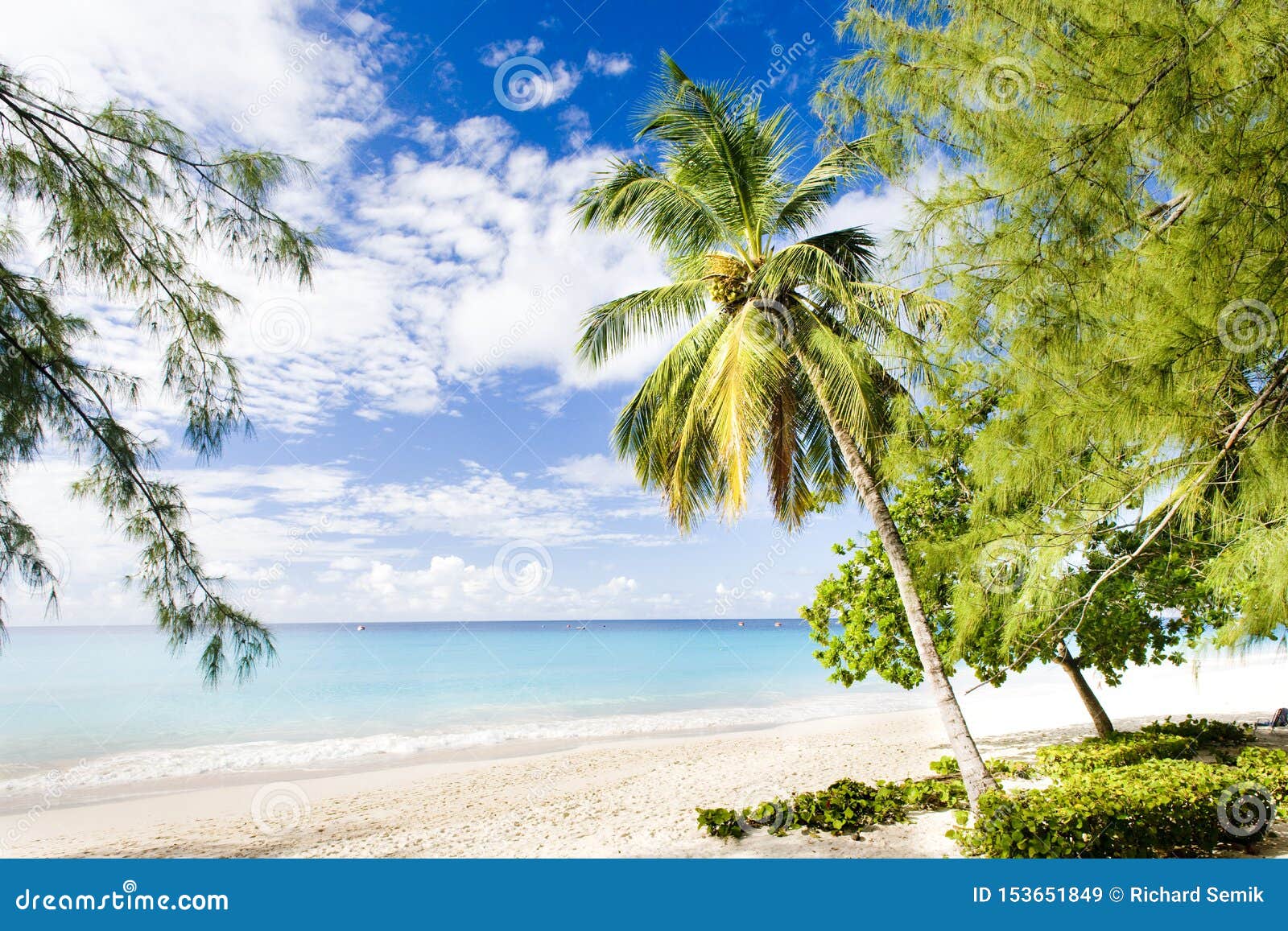 Enterprise Beach, Barbados, Caribbean Stock Image Image of natural