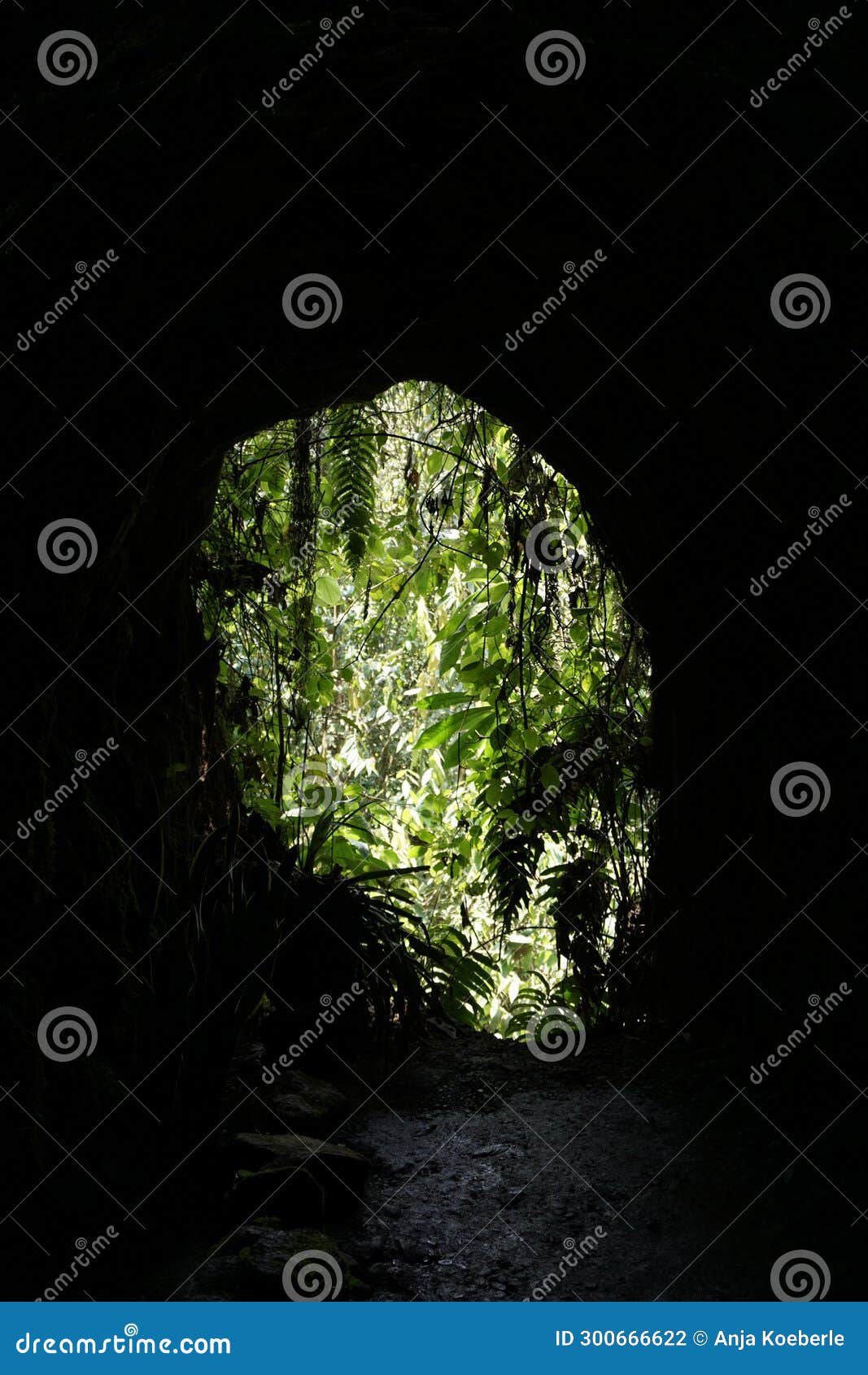 entrance of a cave on a hike close to jardin, eje cafetero, colombia