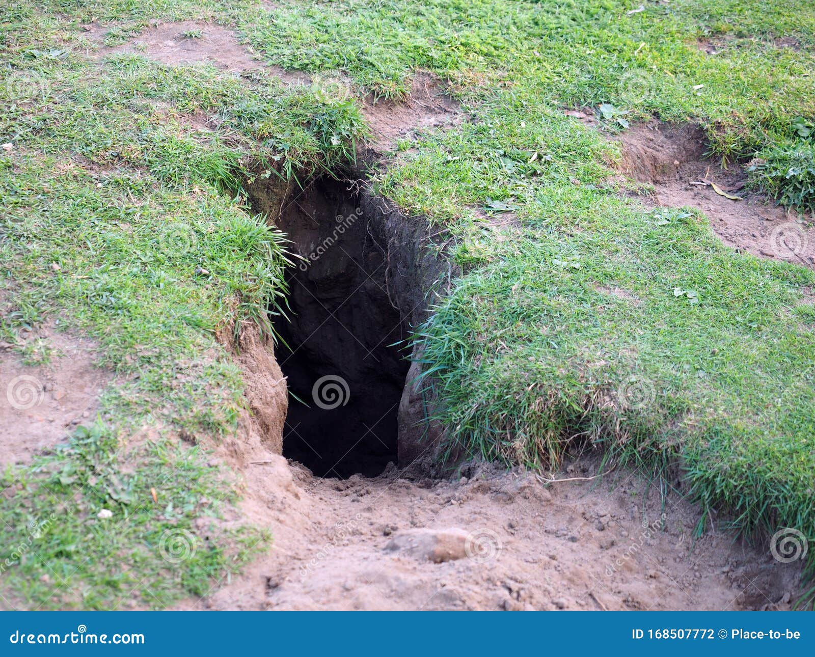 Entrance Of A Rabbit Hole Stock Photo Image Of Habitat 168507772