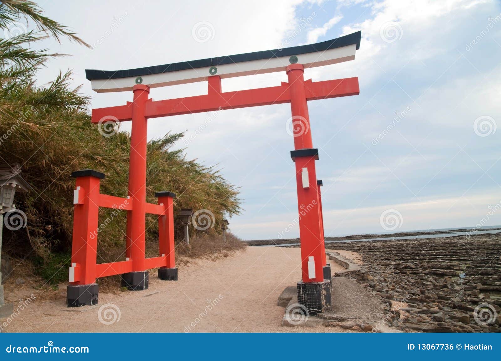 Aoshima Shrine  KYUSHU x TOKYO (JAPAN)