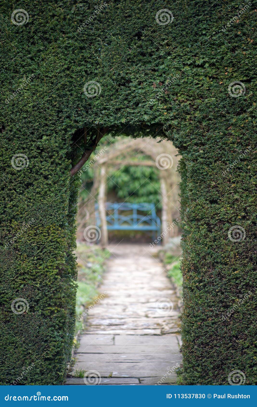 Entrance To Maze through Hedge Stock Photo - Image of exit, arch: 113537830