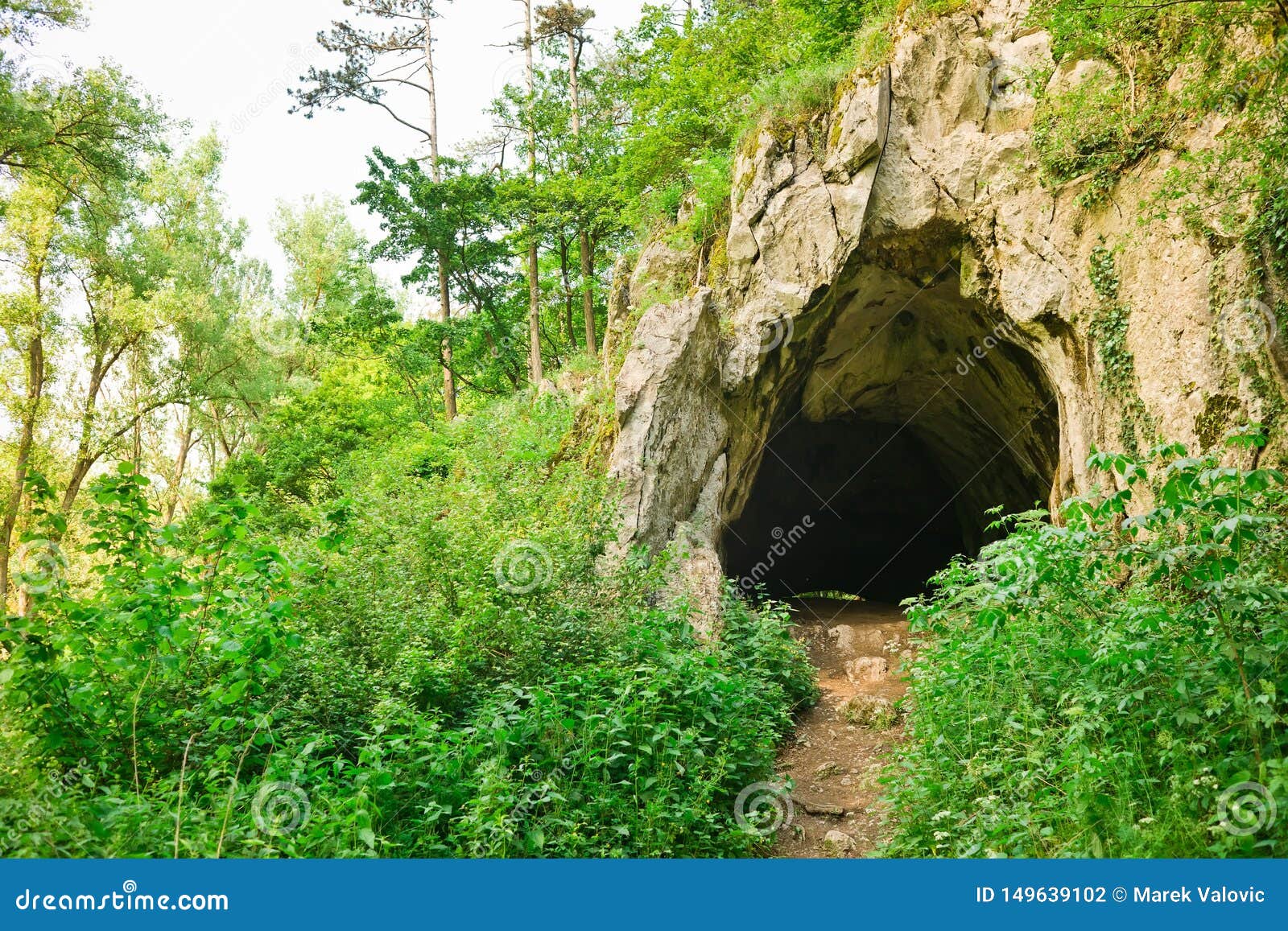 Entrance To Natural Cave In The Forrest Stock Photo Image Of Dark