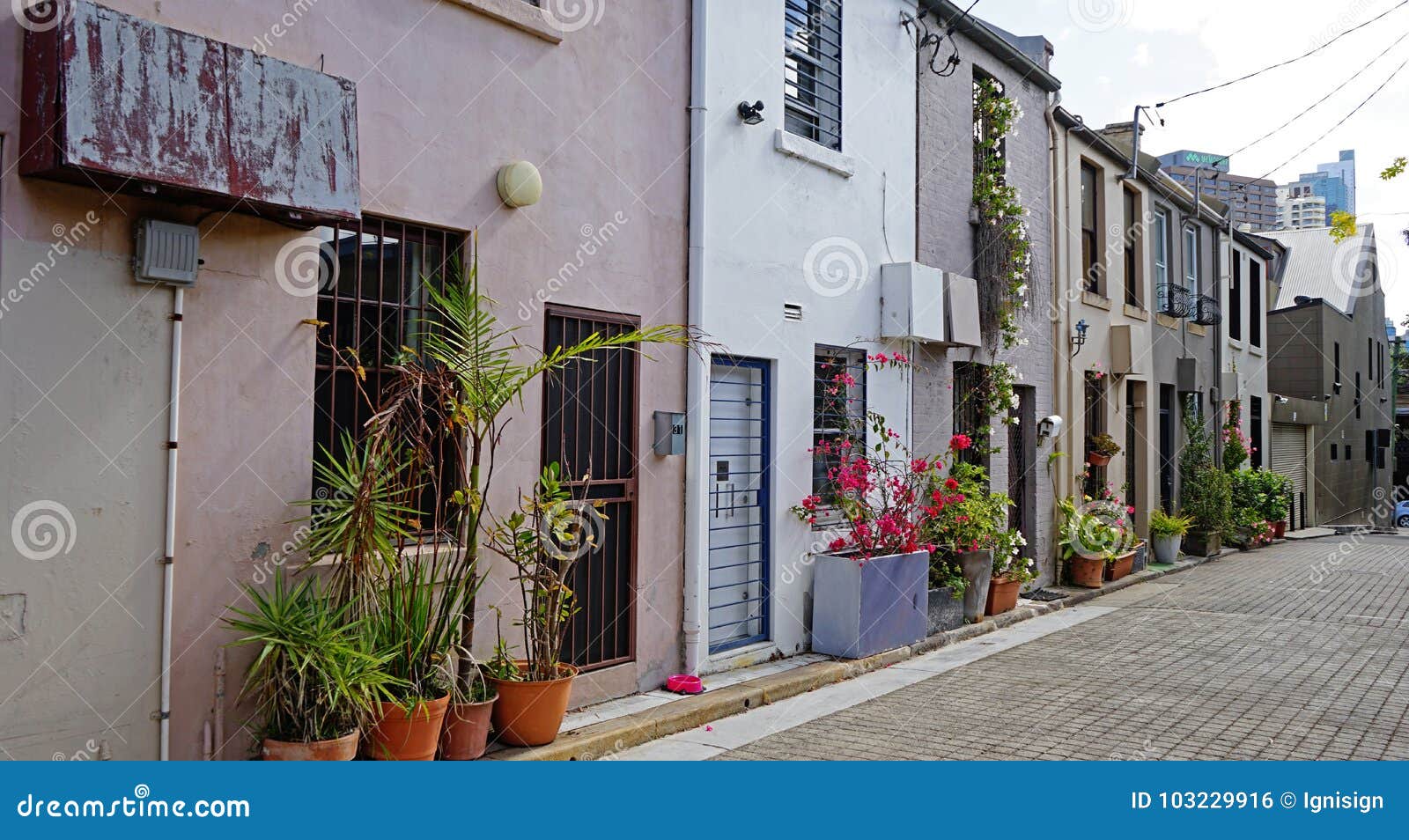 Entrance To Typical Australian Houses Decorated with Flower Pots in Surry  Hills, Australia Editorial Photo - Image of houses, outdoor: 103229916