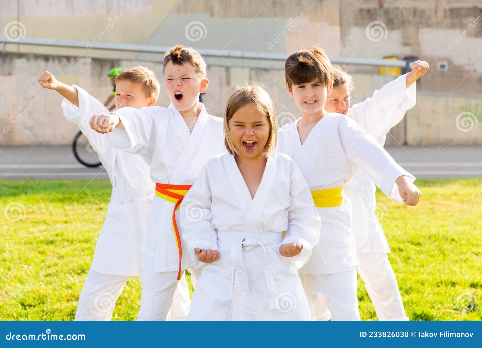 Entre Y Niños Ejercen Técnicas Taekwondo Sobre El Césped Verde Foto de archivo - Imagen de lucha: 233826030