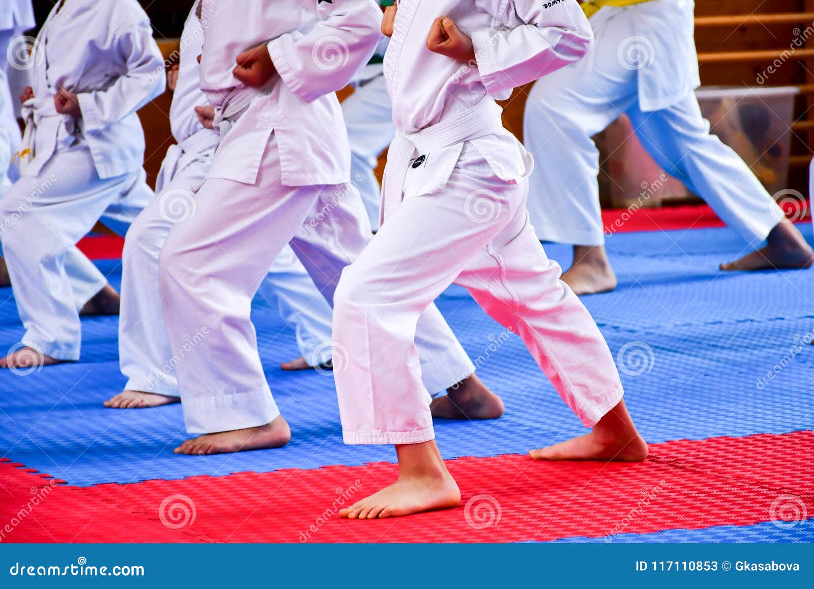 Entrenamiento del karate imagen de archivo. Imagen de mano 117110853