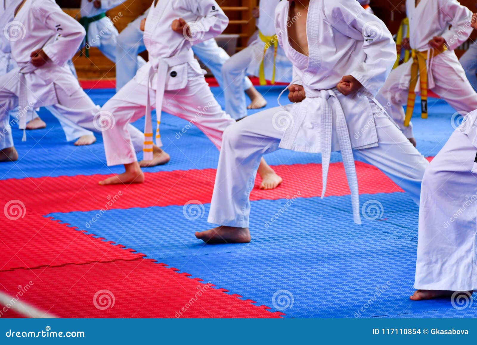 Entrenamiento del karate foto de archivo. Imagen de kimono 117110854