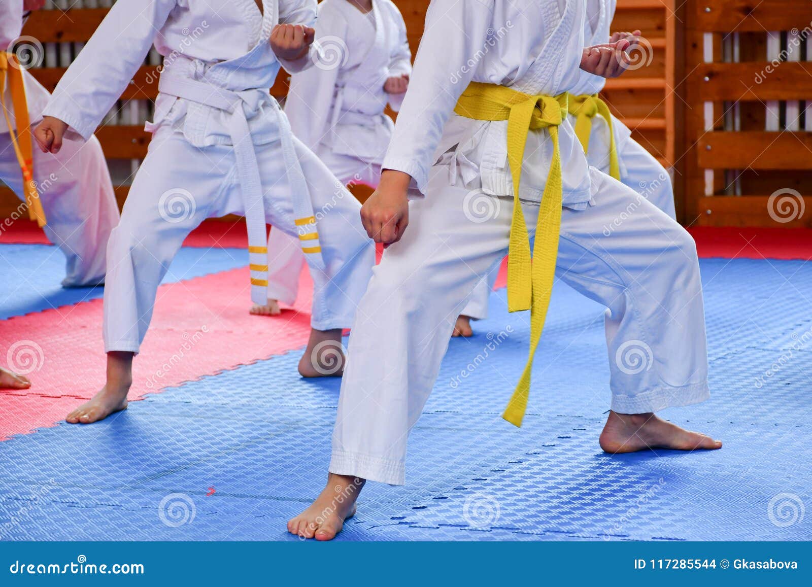 Entrenamiento del karate foto de archivo. Imagen de cabrito 117285544