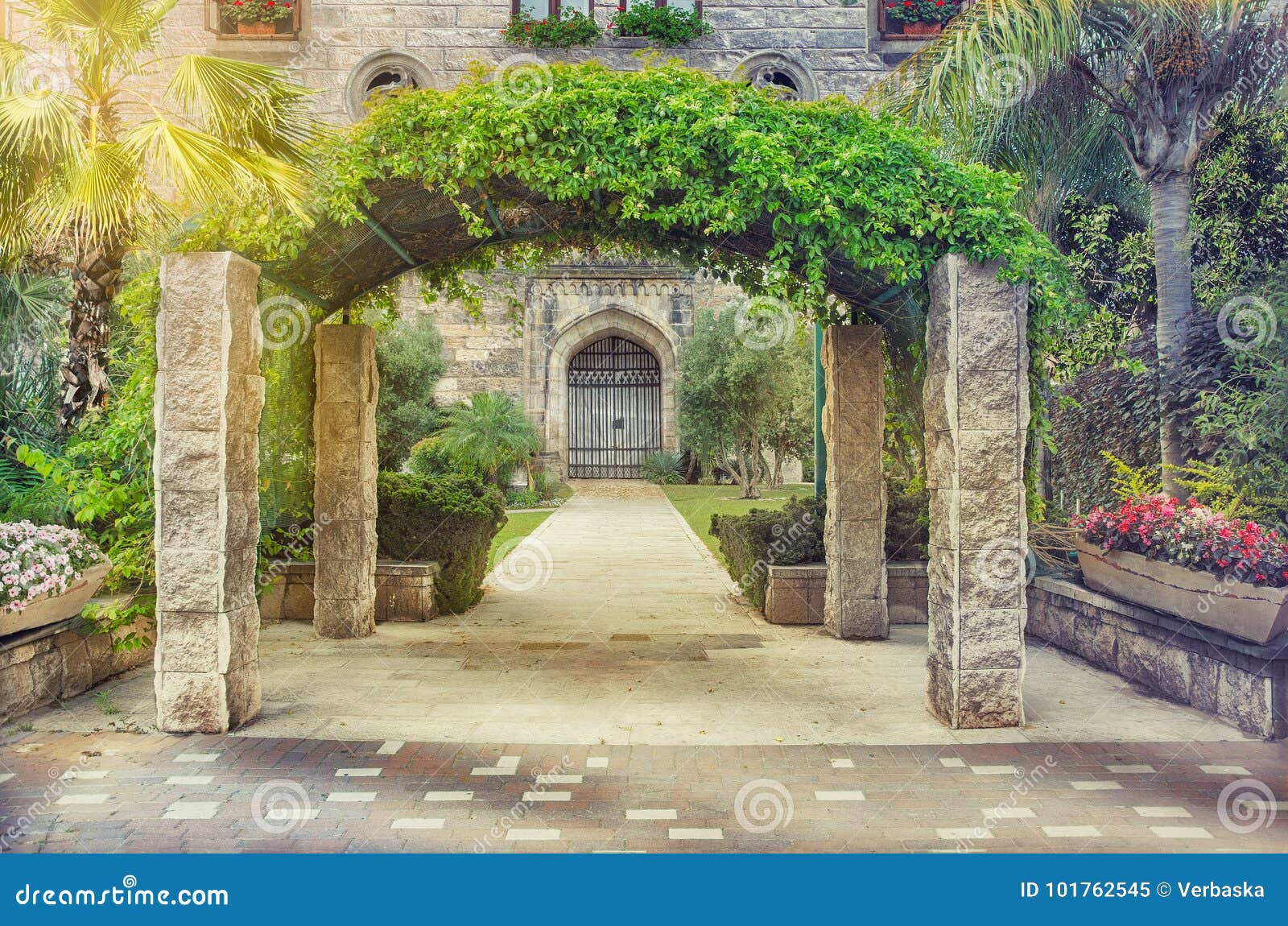 Entry Arch Covered Climbing Plants Stock Image Image of door, arch