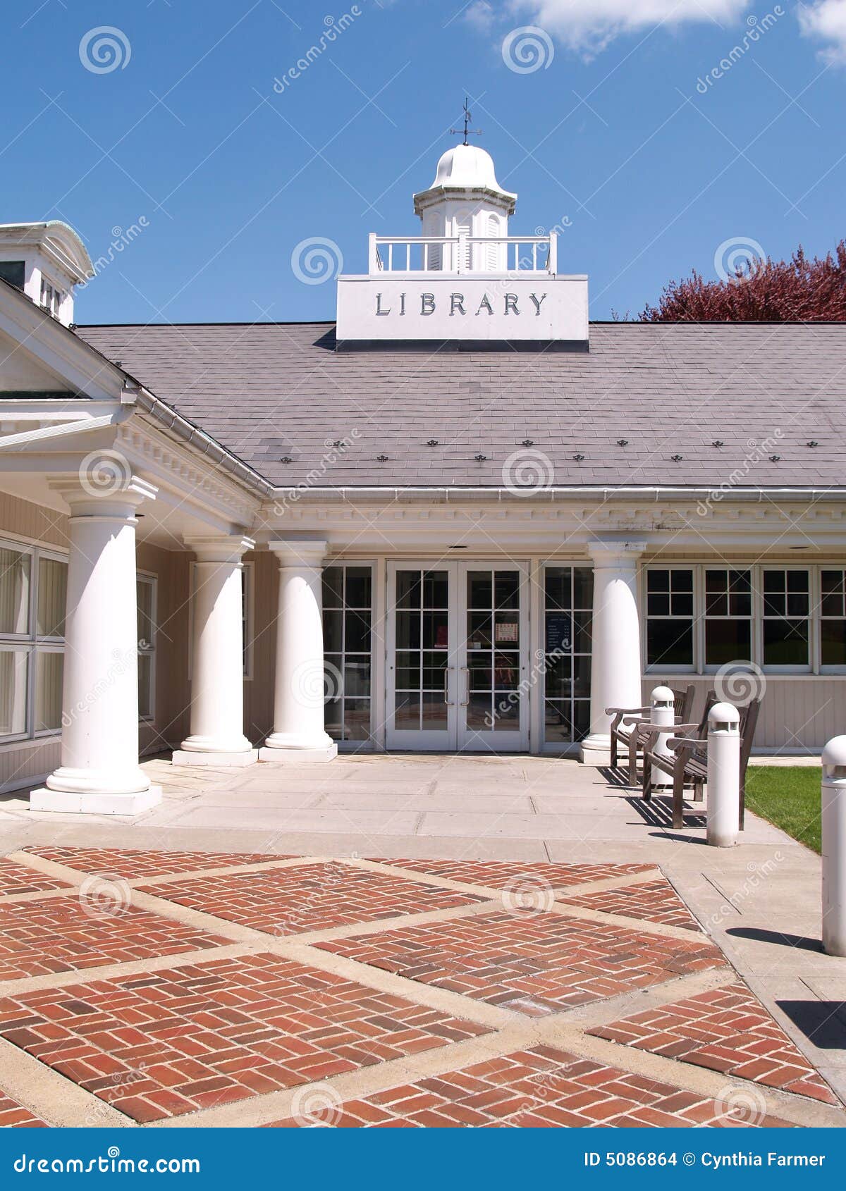 Entry Doors To a Library by a Brick Sidewalk Stock Photo Image of