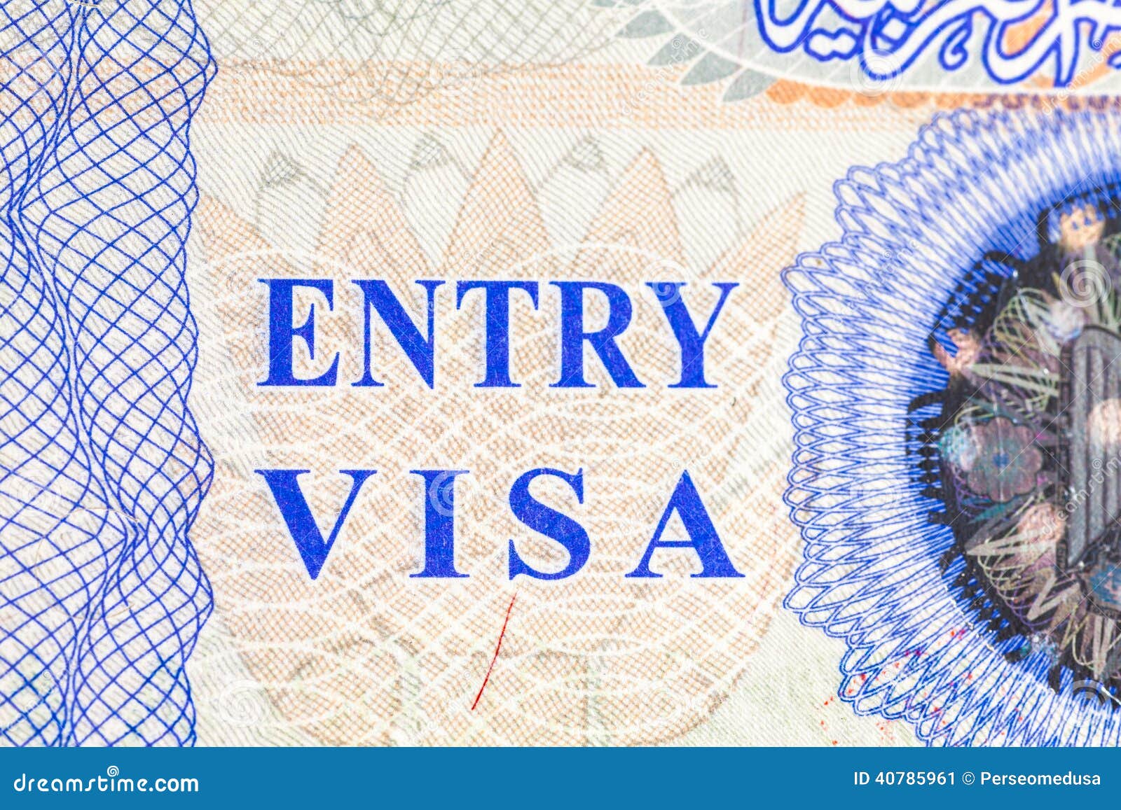 Entry visa. Энтри виза. E2 visa. Visa approved. Е-виза картинки.