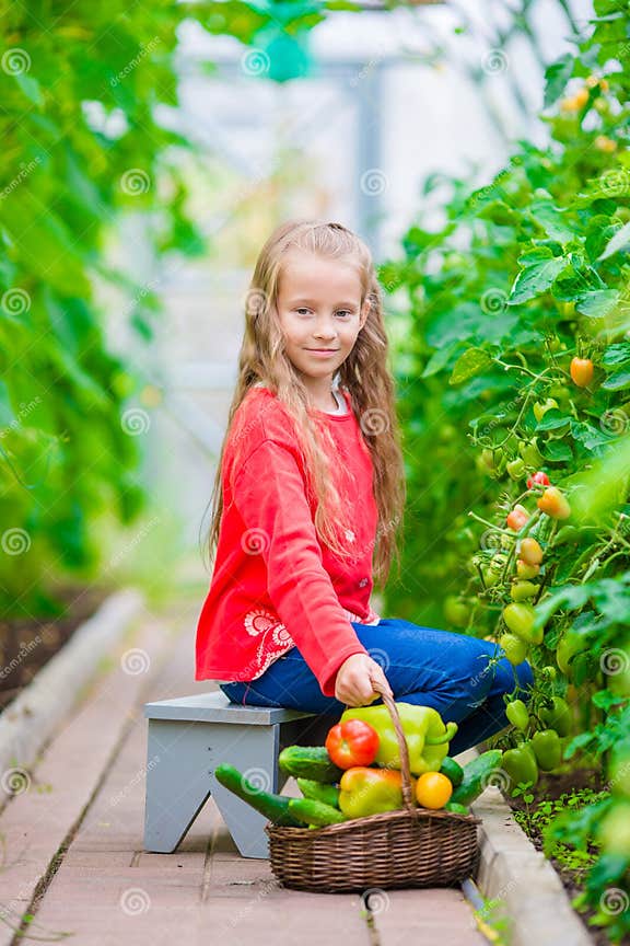 Entzückendes Kleines Mädchen, Das Gurken Und Tomaten Im Gewächshaus