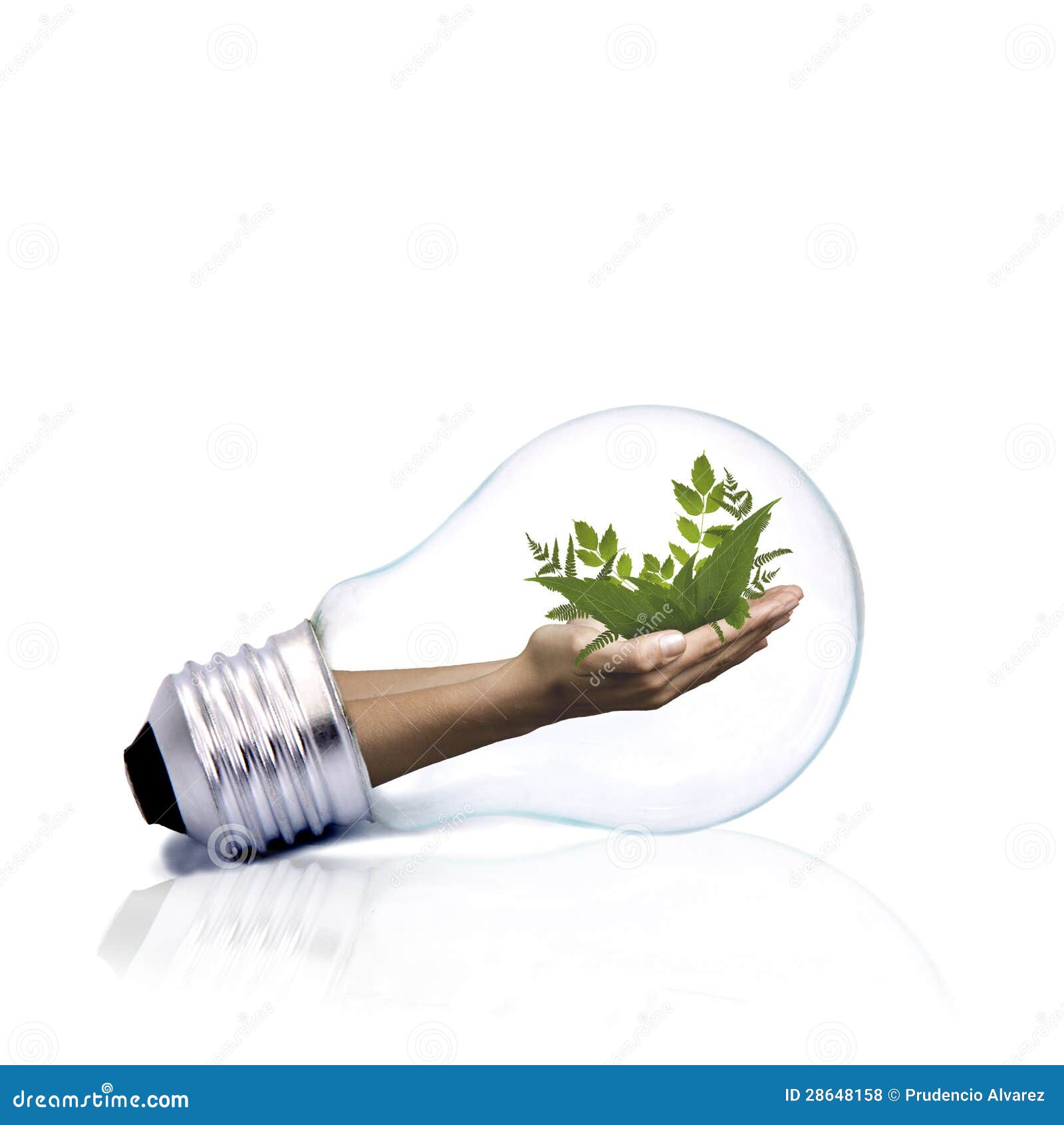 Enviroment stock photo. Image of power, bulb, protect 28648158