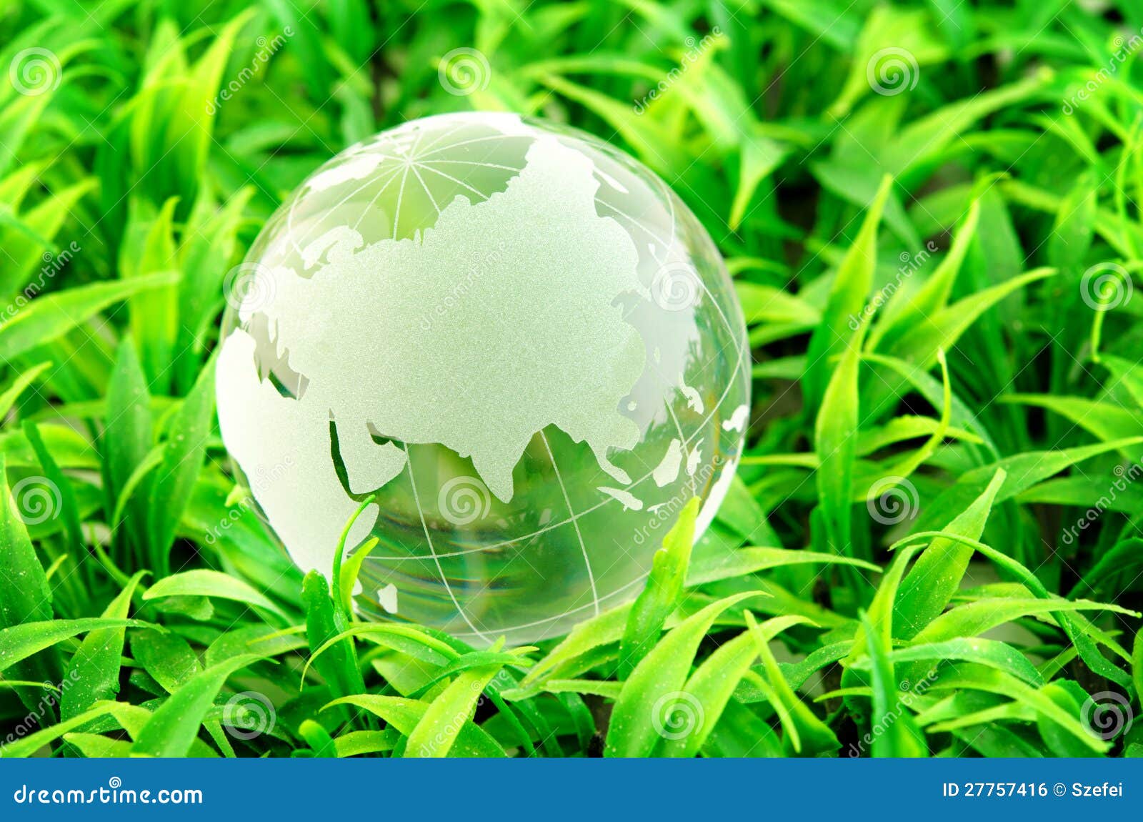 environment conservation environment conservation