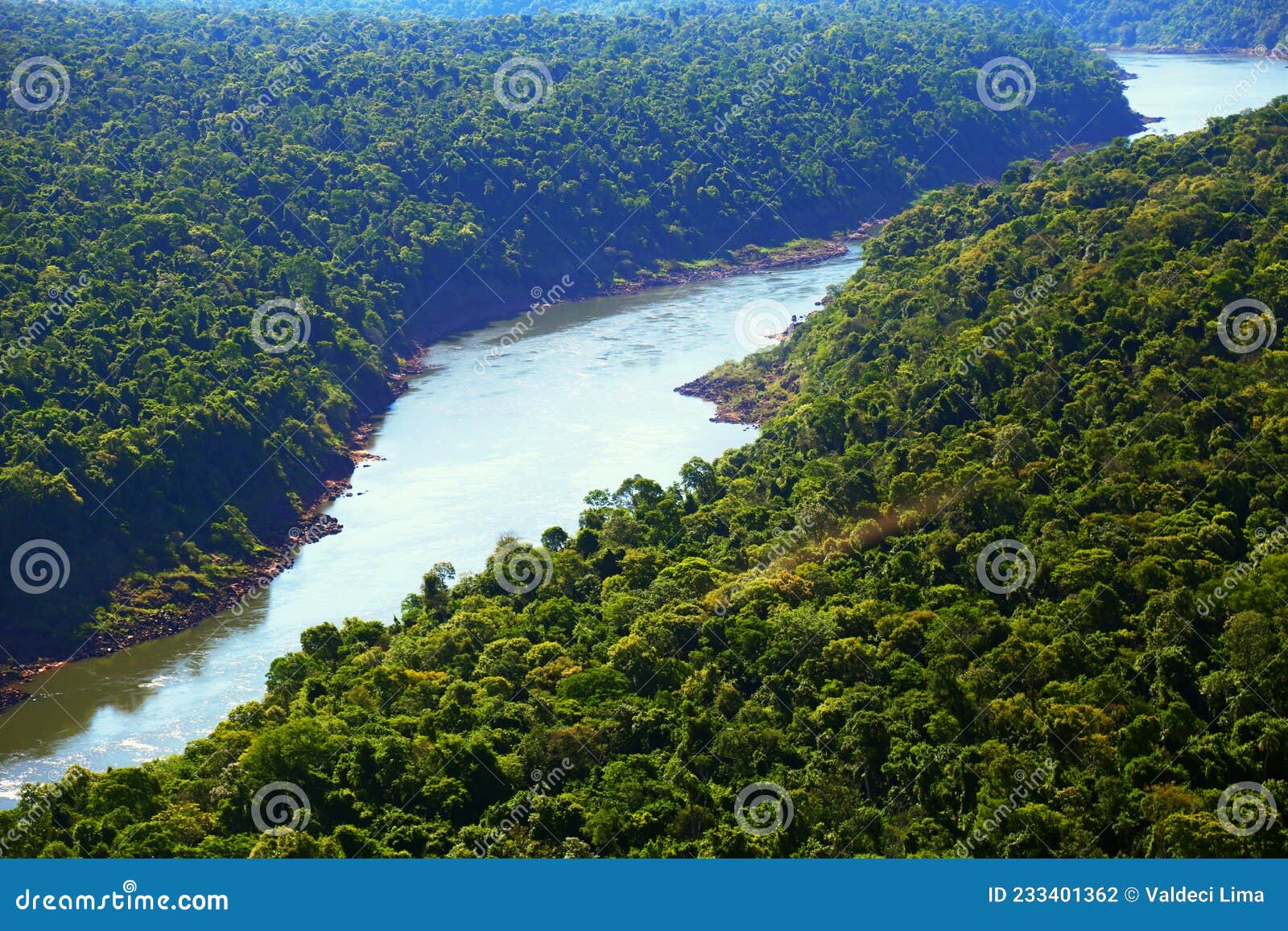 iguacu river crossing the forest. mata atlantica preserved with an aerial view. environmental protection, ecology, clean air.