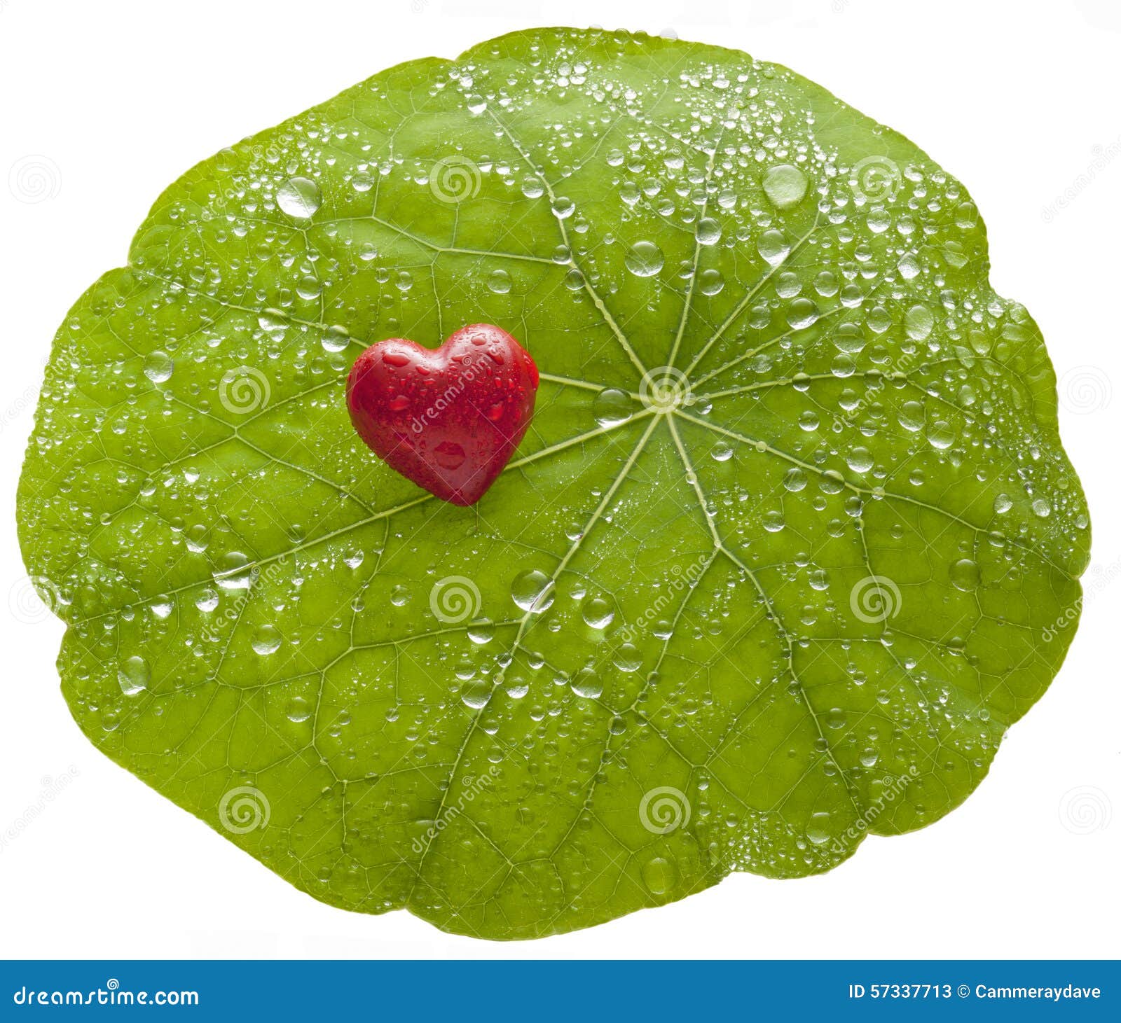 falling hearts imvironment falling hearts imvironment
