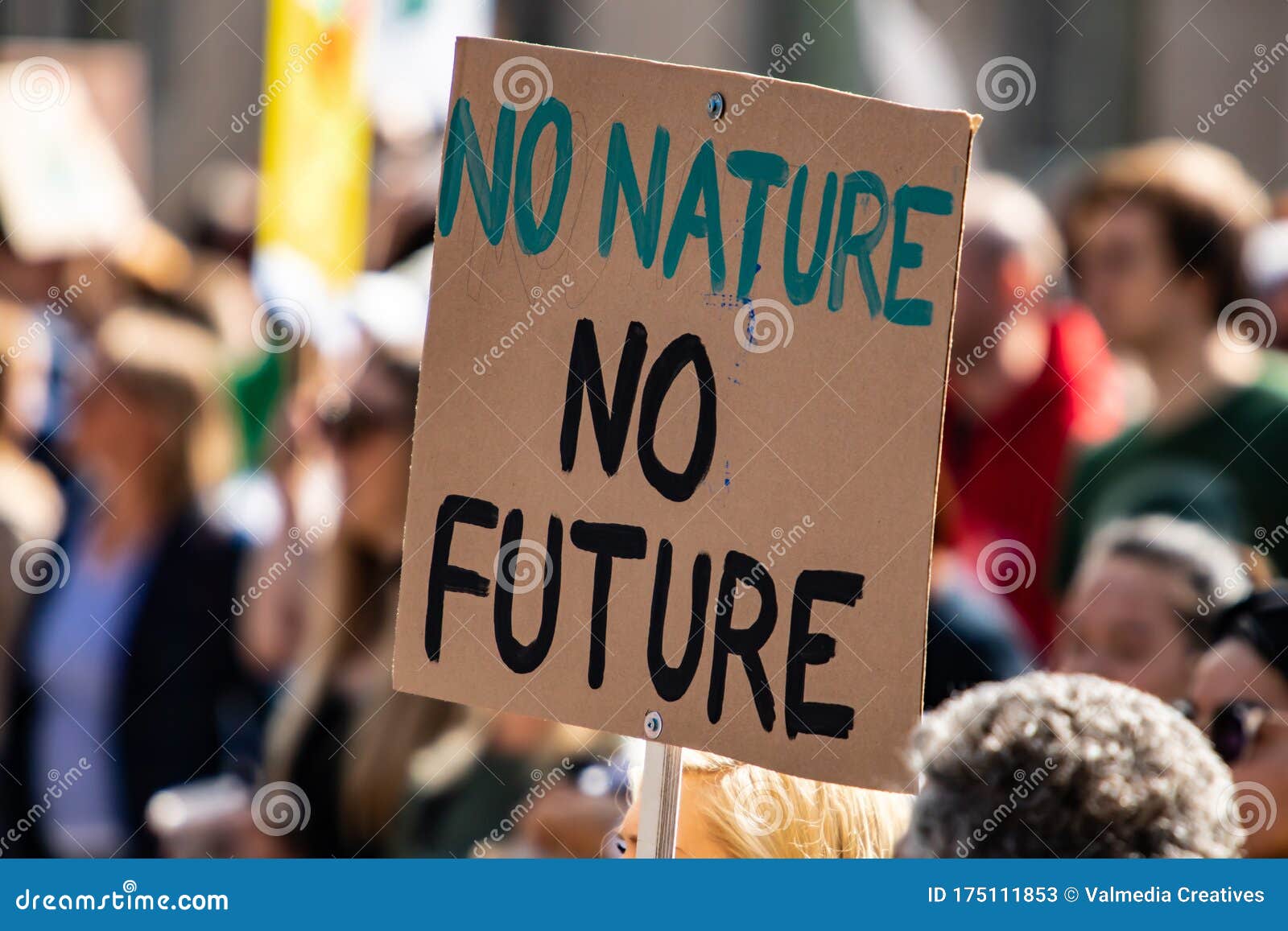 Environmental Activist - Choose Nature - Environmental Activist