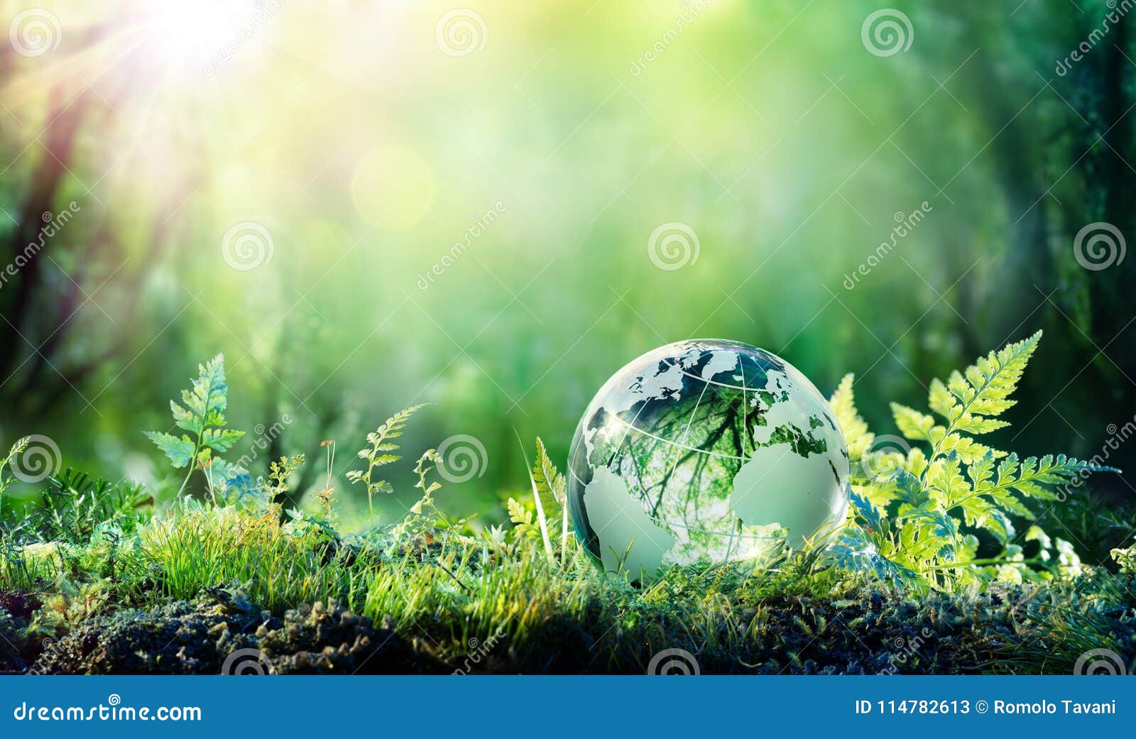 environmental concept- globe on moss in forest -