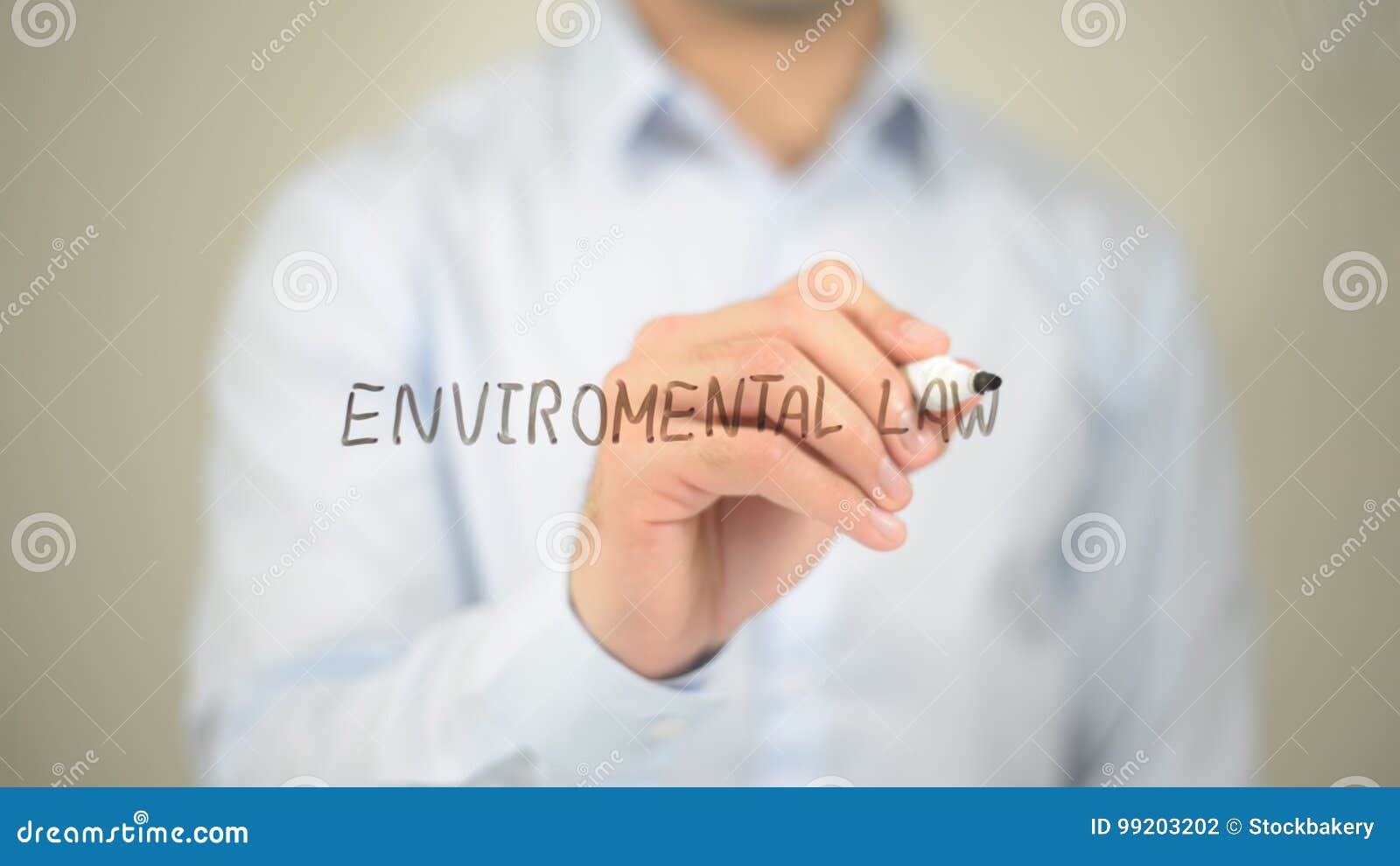 Environmental law essay