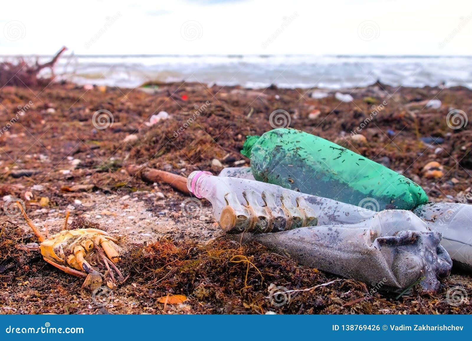 Plastic Bottles, Died Crabs, Animal Remains and Other Debris among the Seaweed on the Sandy Seashore after Storm. Stock Photo - Image of litter, dirty: 138769426 Plastic Bottles, Died Crabs, Animal Remains and Other Debris among the Seaweed on the Sandy Seashore after Storm. Stock Photo - Image of litter, dirty: 138769426