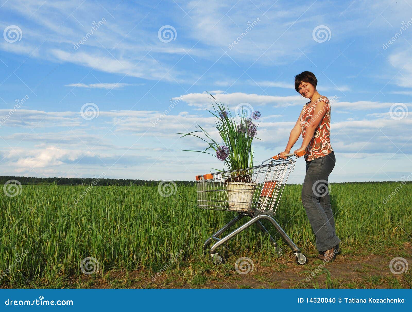 Environmental shopping stock photo. Image of push, people 14520040
