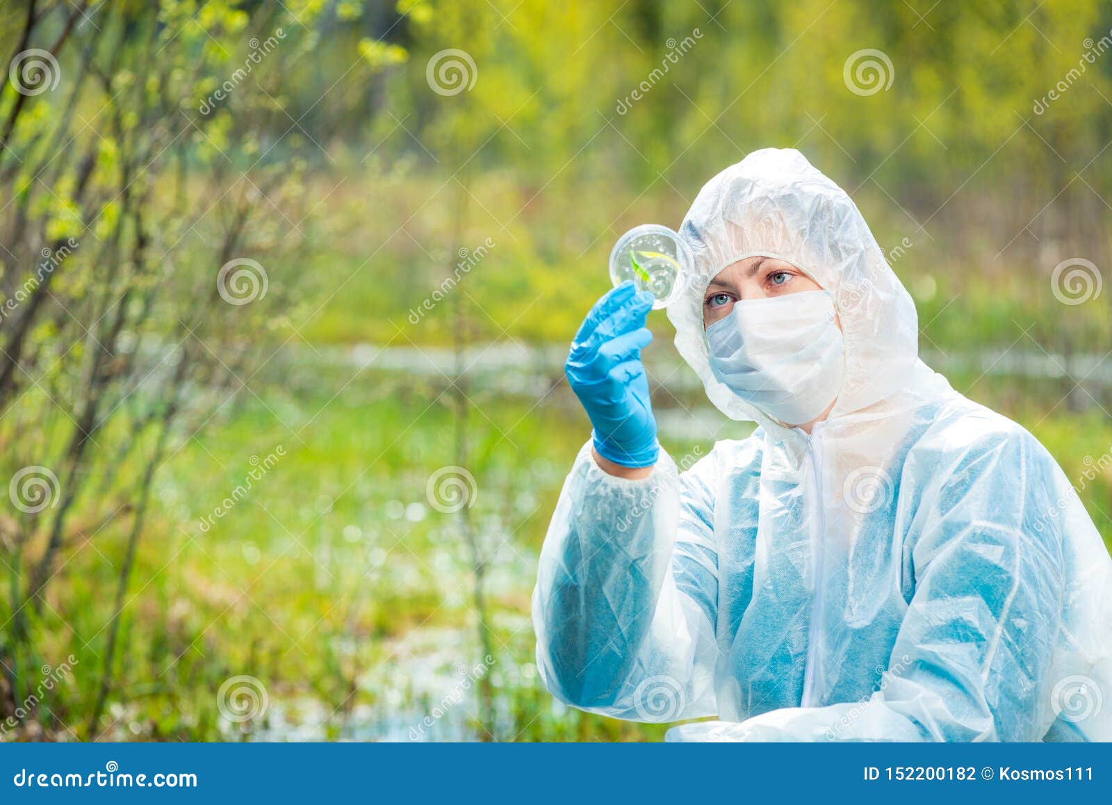 Environmentalist in Protective Clothing Examines Infected Plants Stock