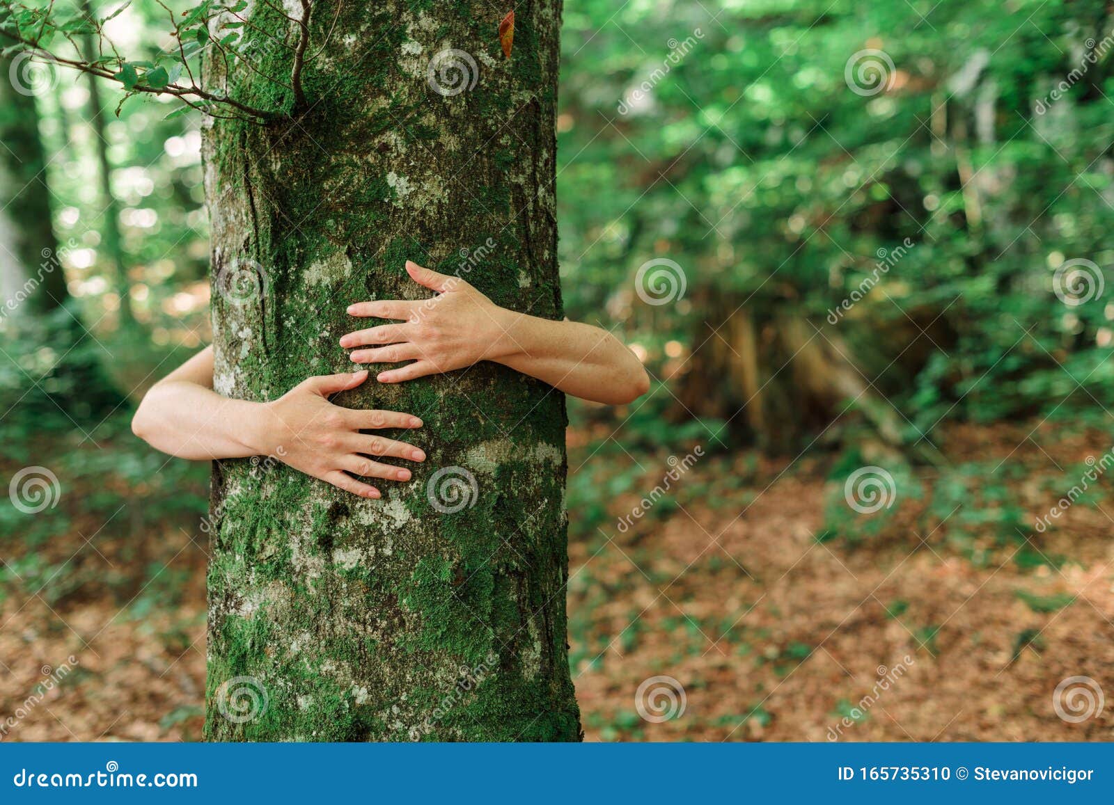 environmentalist tree hugger is hugging wood trunk in forest